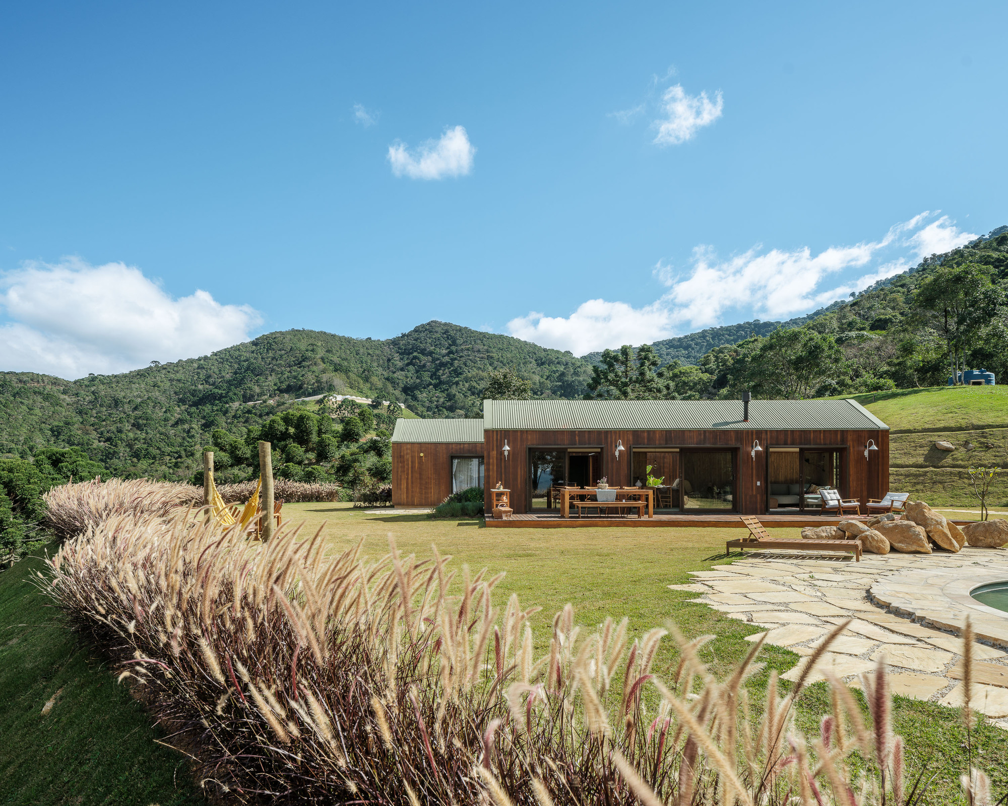 Timber-clad facade with metal roof opening onto lawn terrace with ornamental grasses in foreground