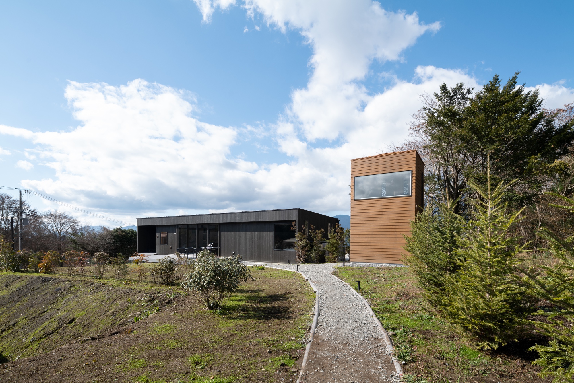 Gravel pathway leading to the horizontal dwelling and vertical cedar-clad tower on the landscaped site