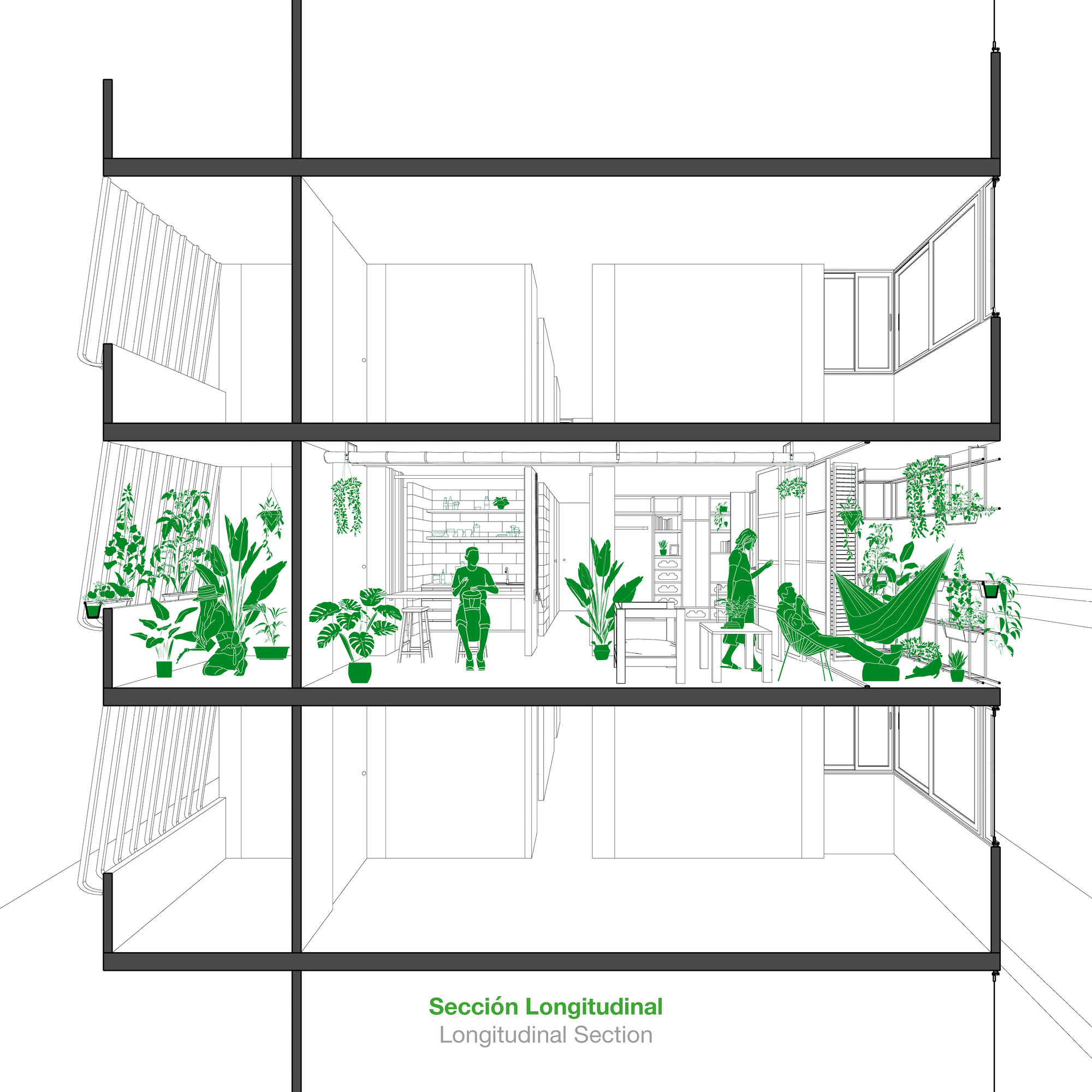 Longitudinal section drawing showing a living level filled with hanging and potted greenery between vacant floors