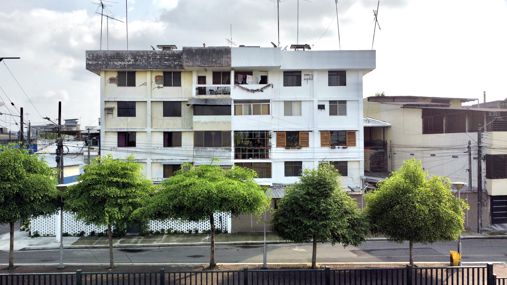 Street view of the white apartment building facade with timber shutters above a row of clipped trees