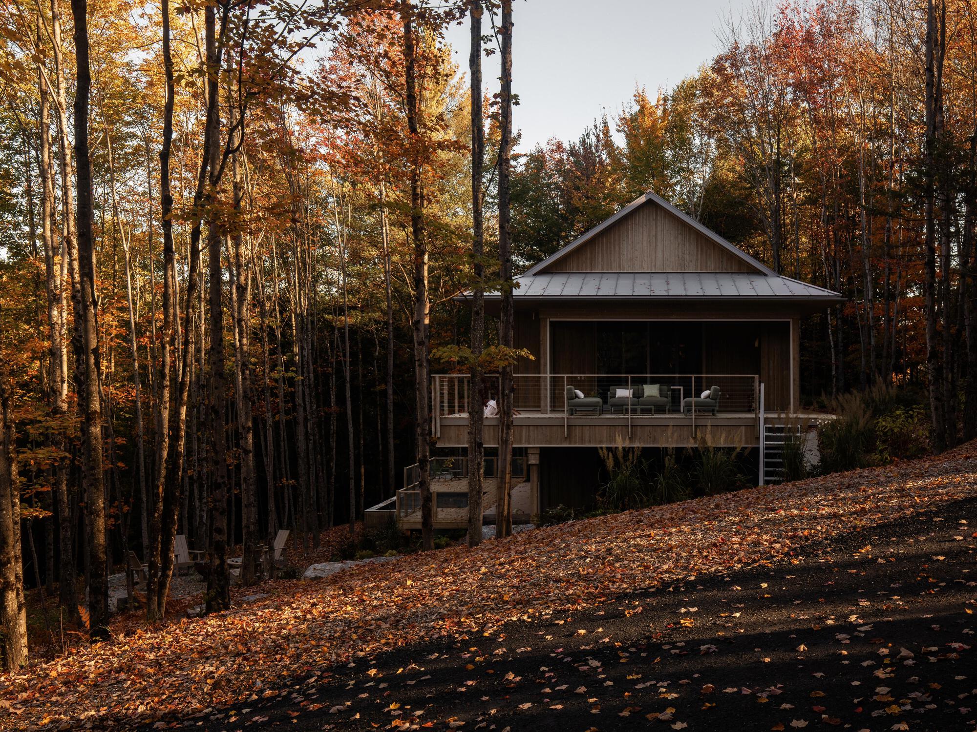 Elevated timber cabin with metal roof and railed deck surrounded by autumn trees and fallen leaves