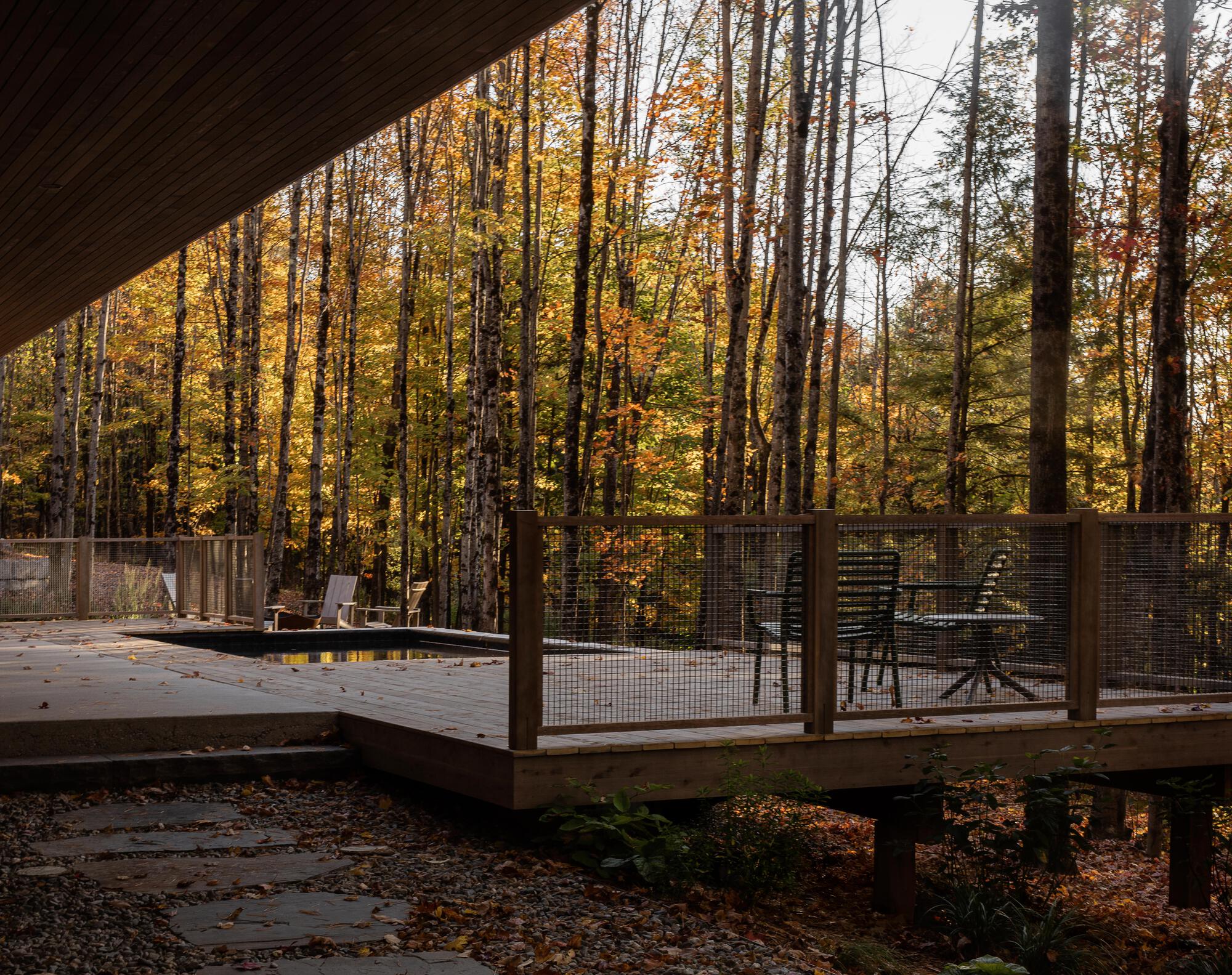 Covered deck with mesh railing extending into an autumn forest clearing