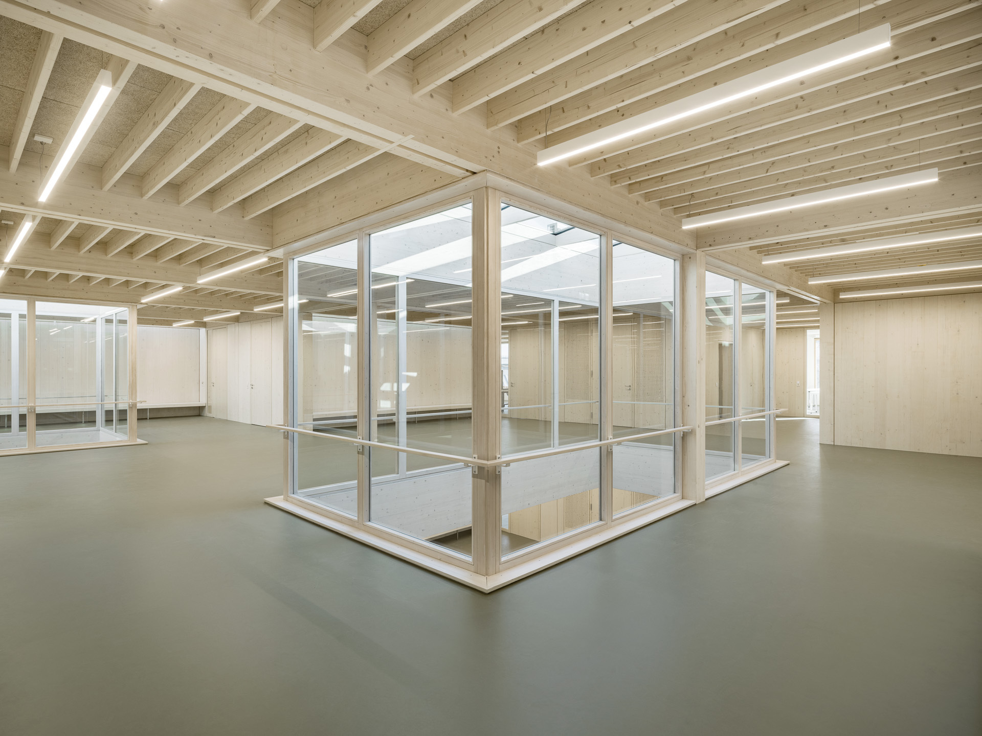Interior view of glass-walled enclosure beneath exposed timber joists with integrated linear lighting