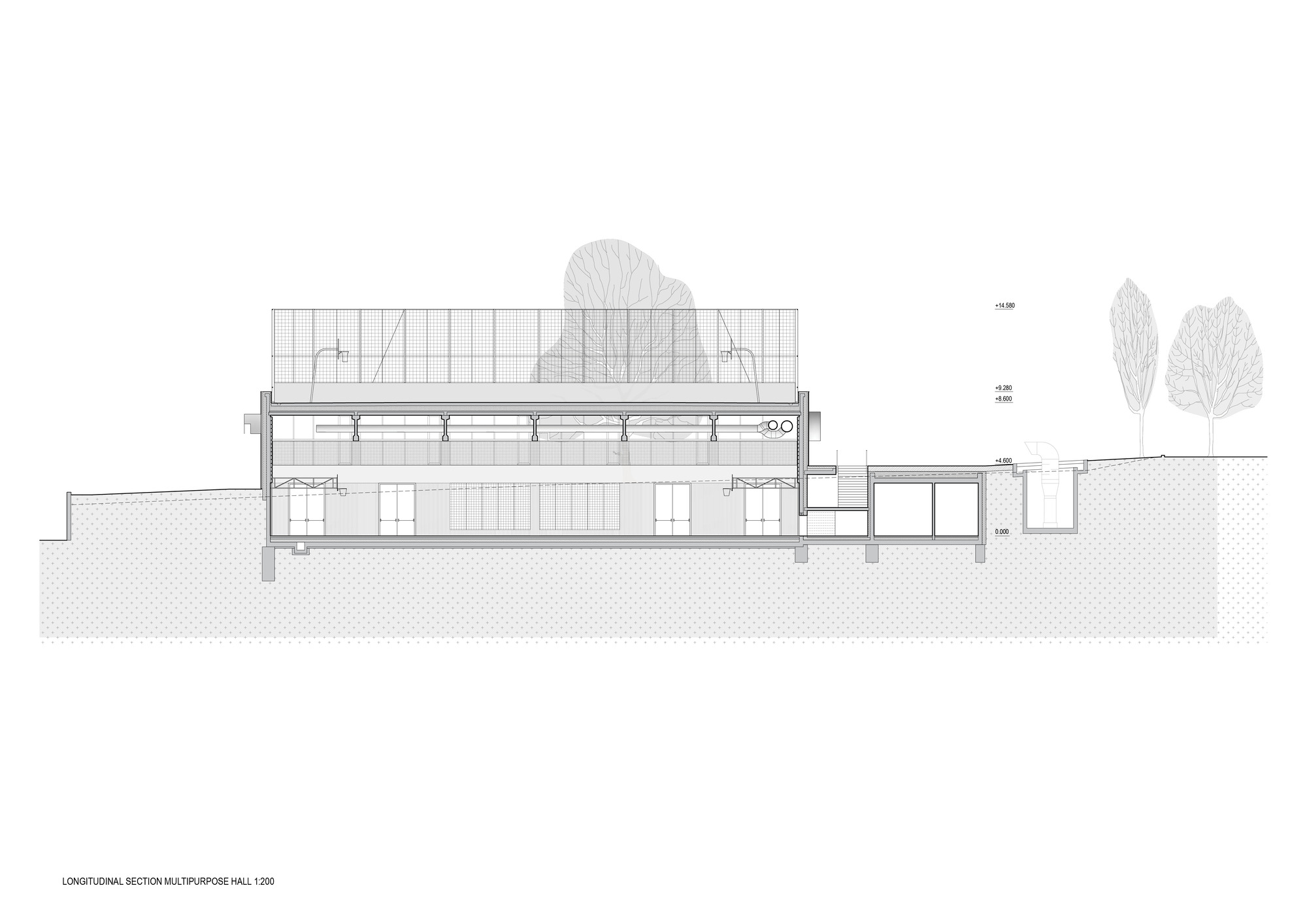 Longitudinal section drawing showing the multipurpose hall interior with diagonal bracing and trees above