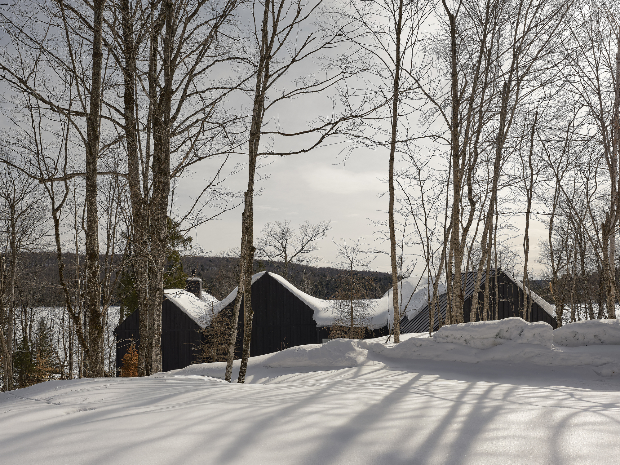 Three gabled volumes clad in dark vertical siding emerging from deep snow among bare trees