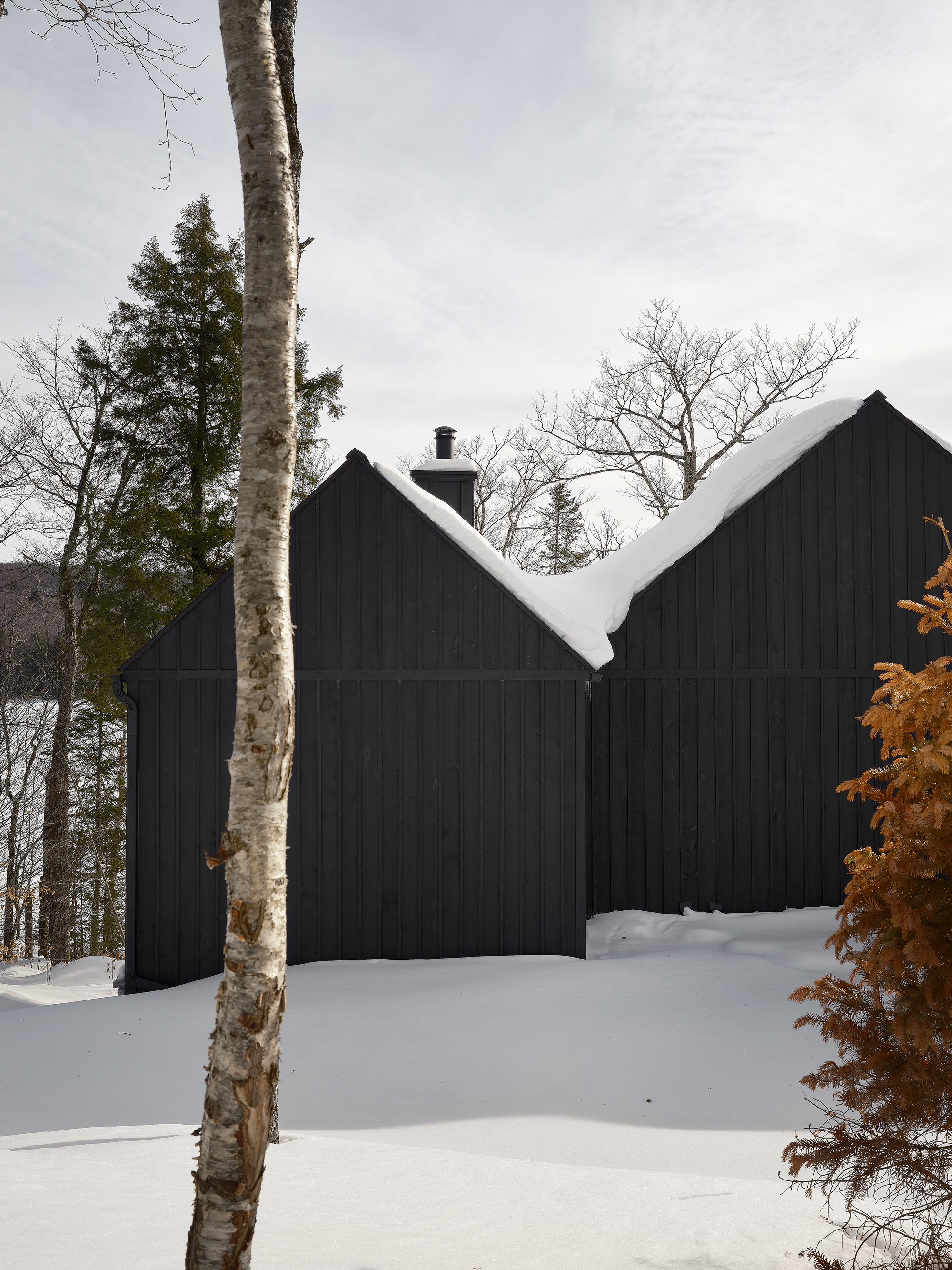 Dark timber clad gabled facades with snow covered roof viewed through birch trees in winter