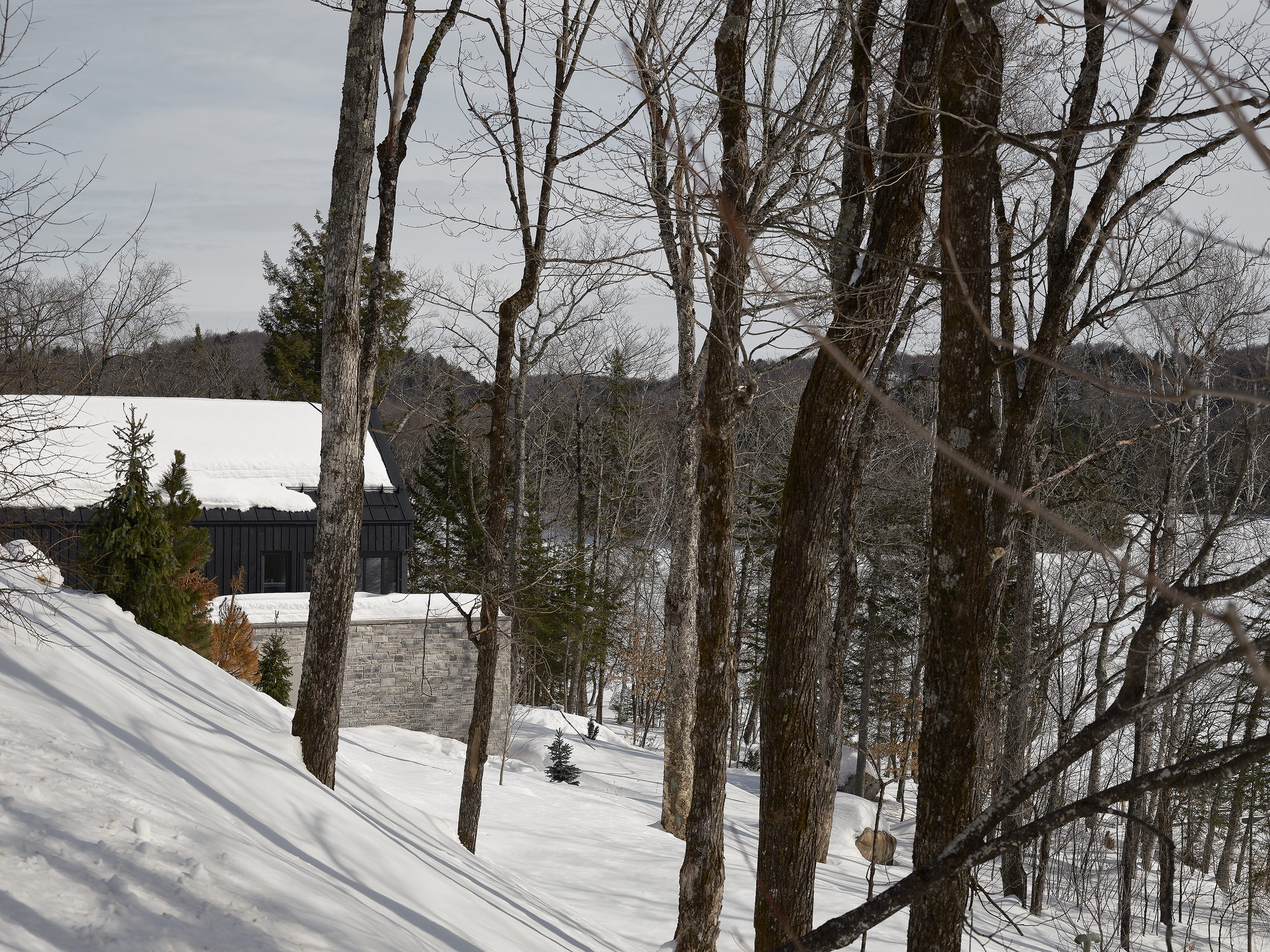 Distant view of stone and timber volumes among bare deciduous trees in a snowy landscape