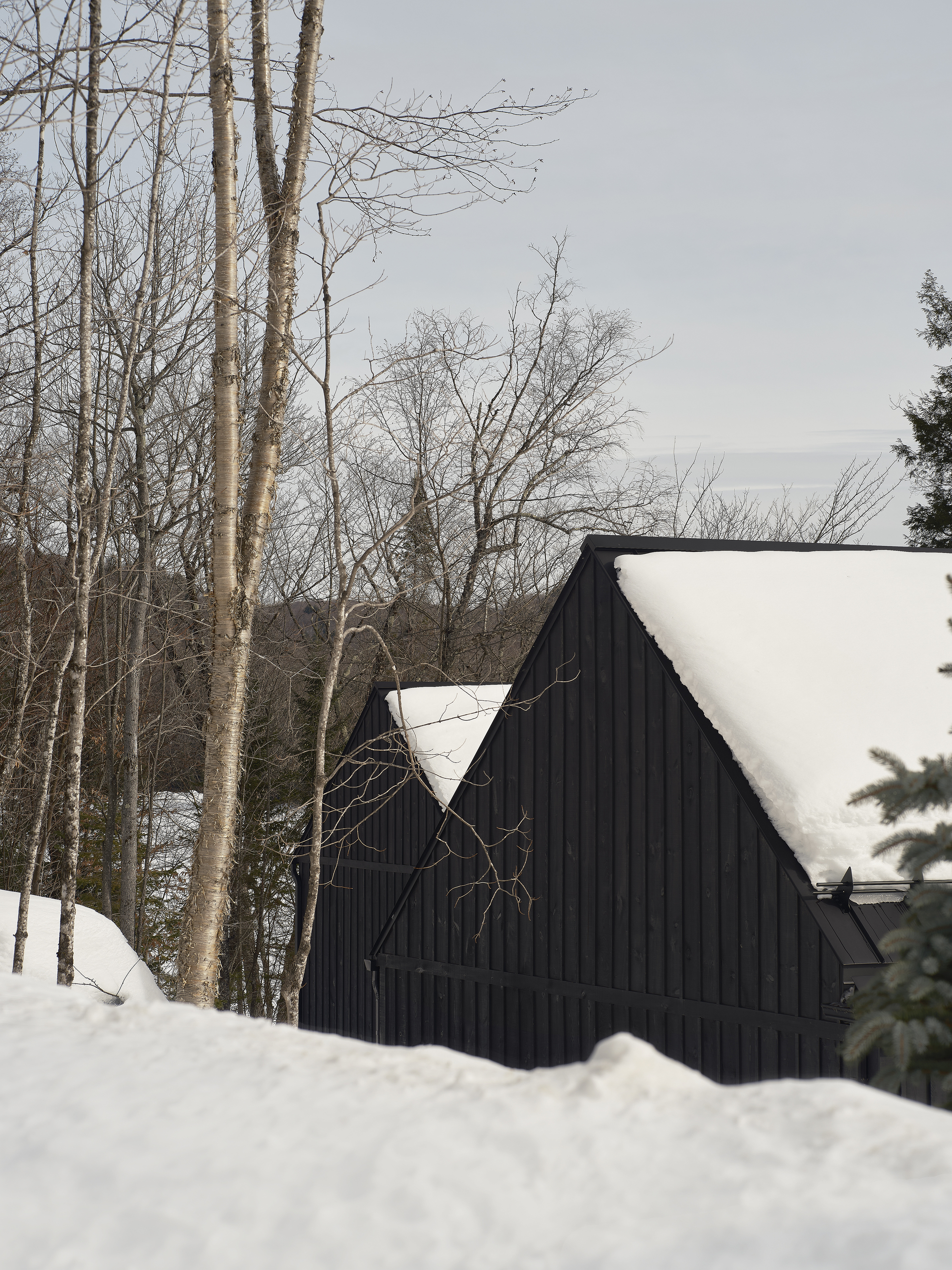 Black vertical board-and-batten gable volumes nestled among bare birch trees in deep snow