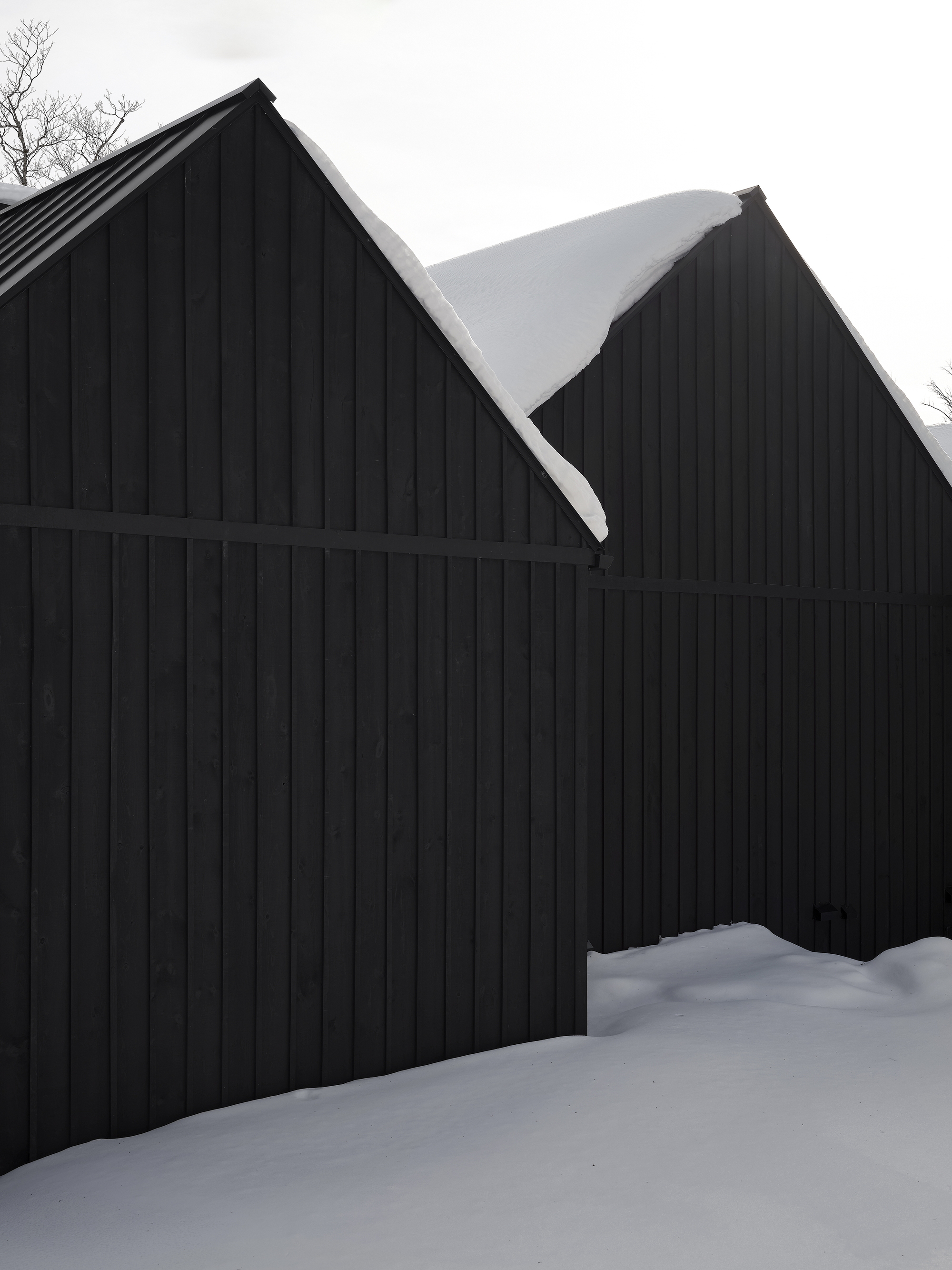 Two overlapping gable forms clad in black vertical siding with snow-laden roofs against bare branches
