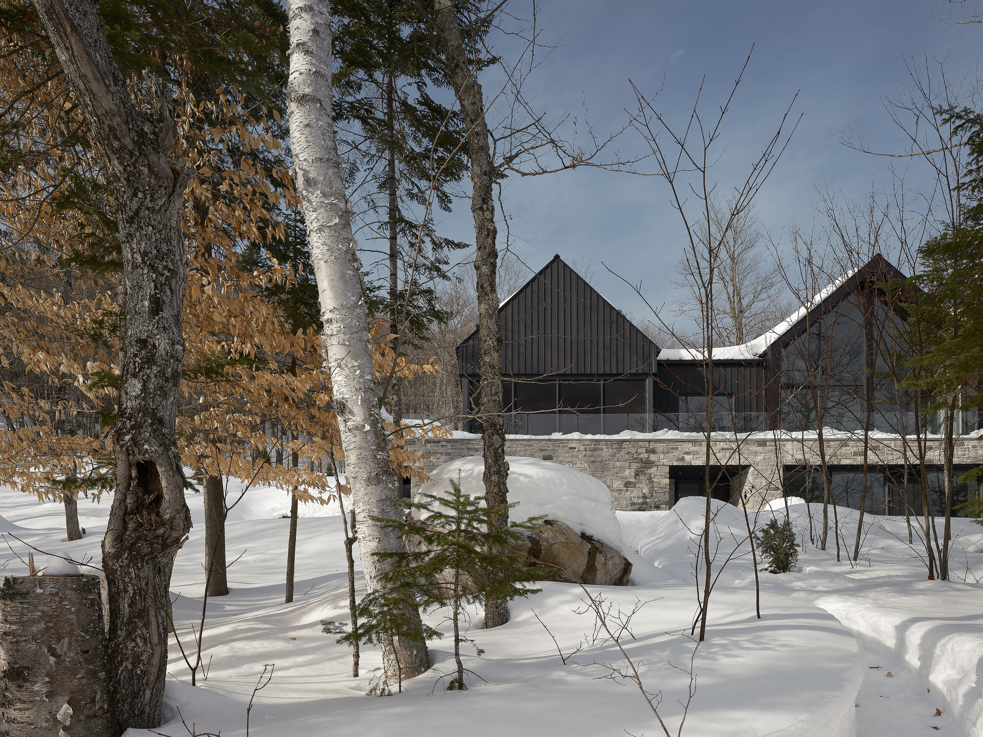 Cluster of gable structures with stone base walls visible through birch and conifer forest in snow