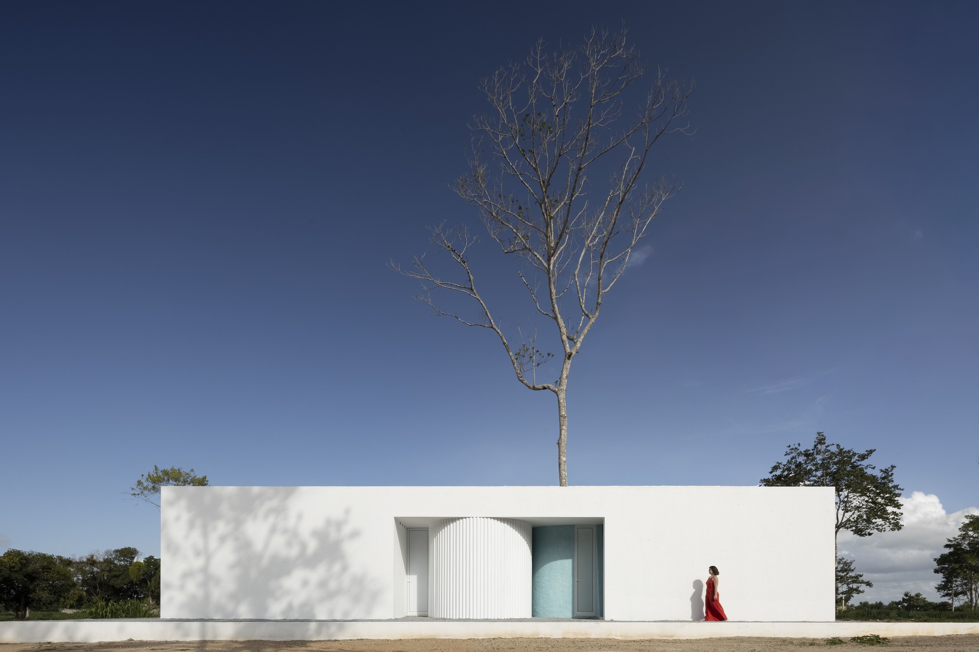 White facade with arched corrugated door and tall bare tree growing from the roofline