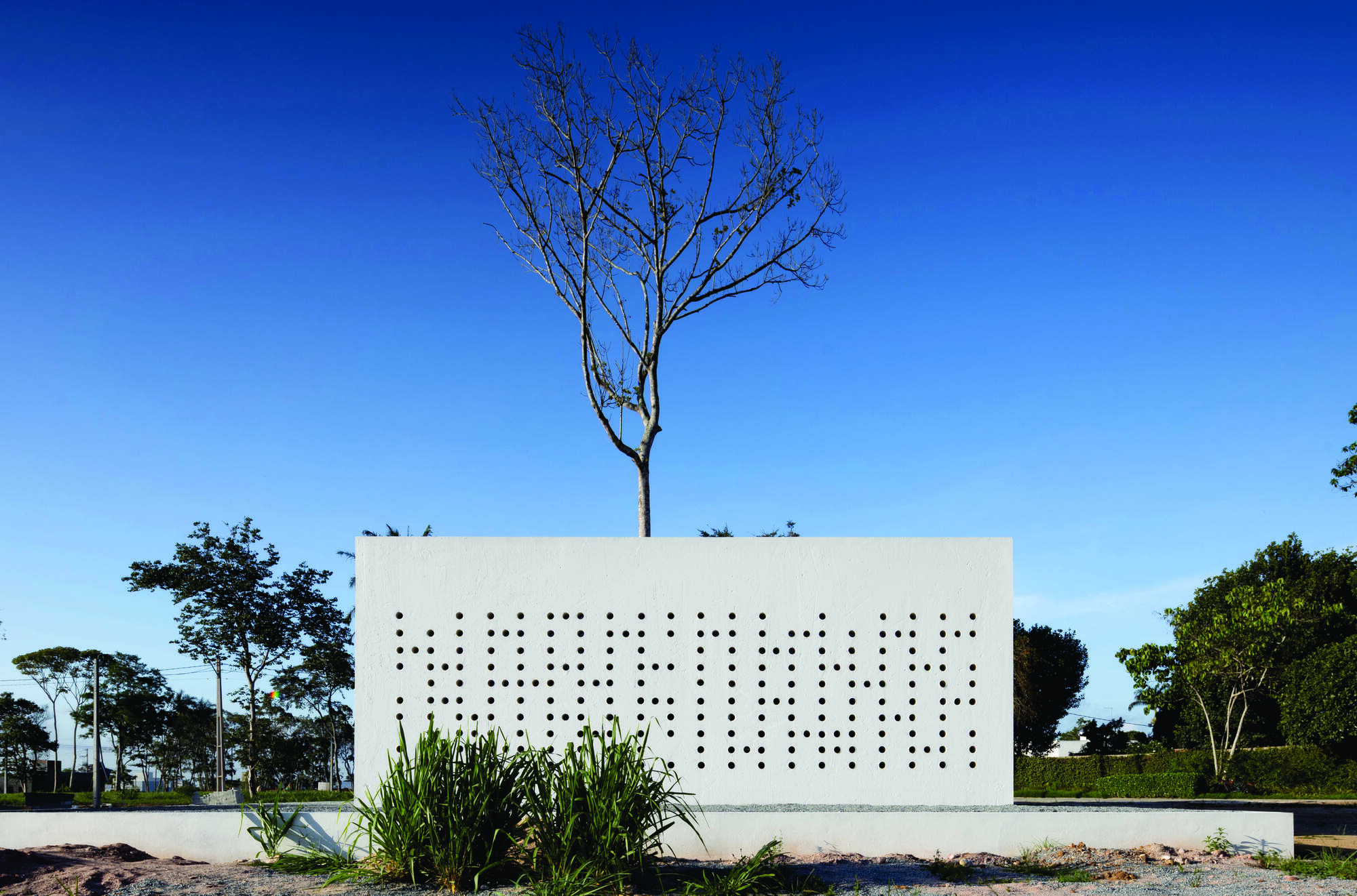 Perforated white facade with planted bed below and bare tree rising through the roof