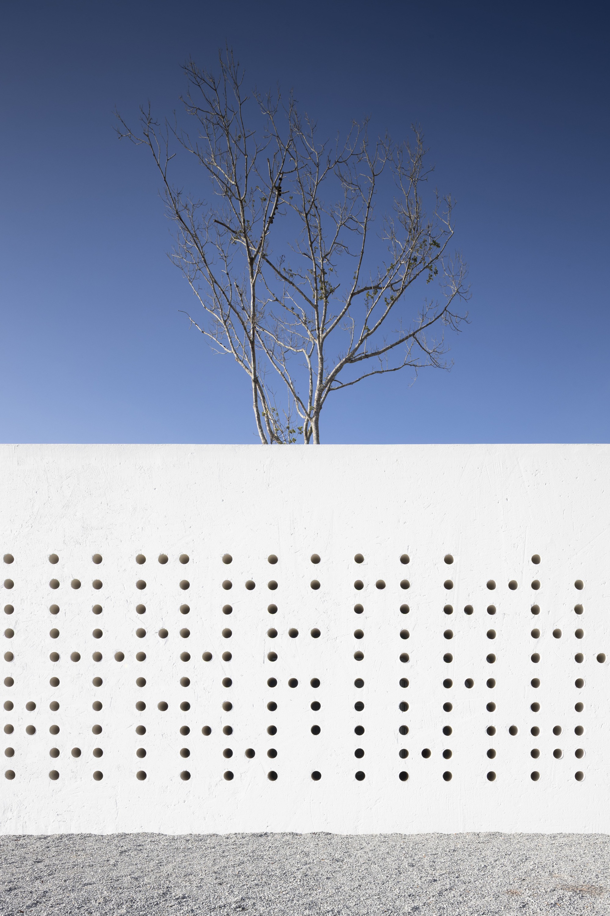 White perforated wall with circular openings and a bare tree emerging from behind under a clear blue sky