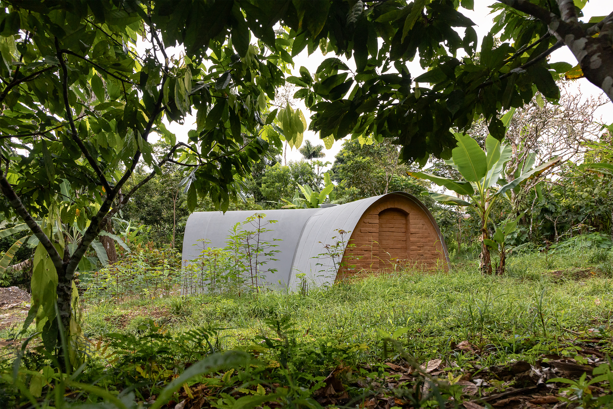 Oblique view of the timber end wall and curved metal roof amid grasses and tropical trees