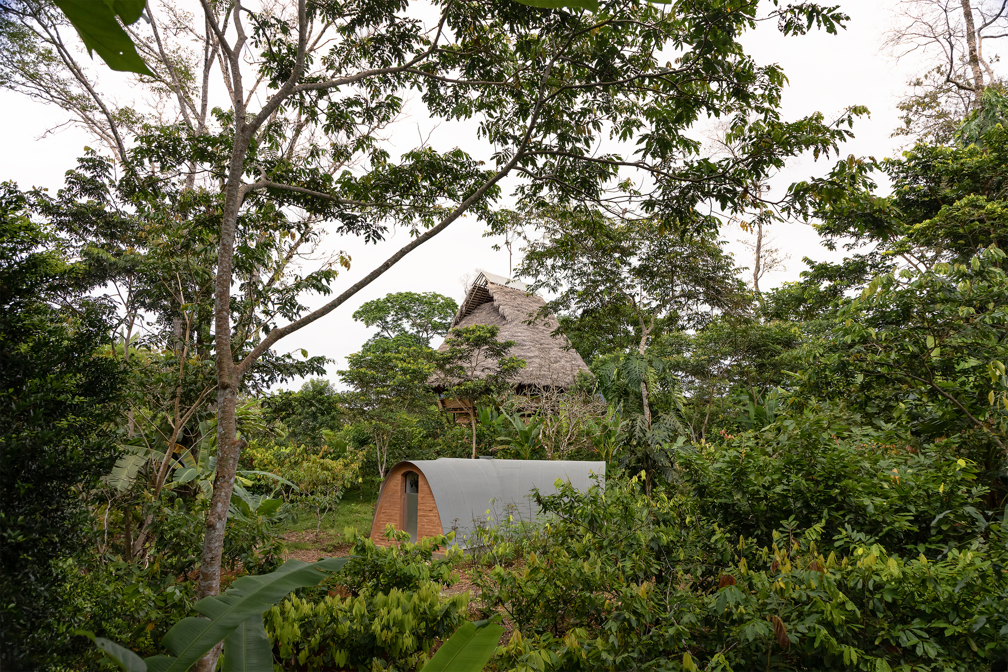 Barrel-vaulted volume with timber end wall emerging from the jungle canopy