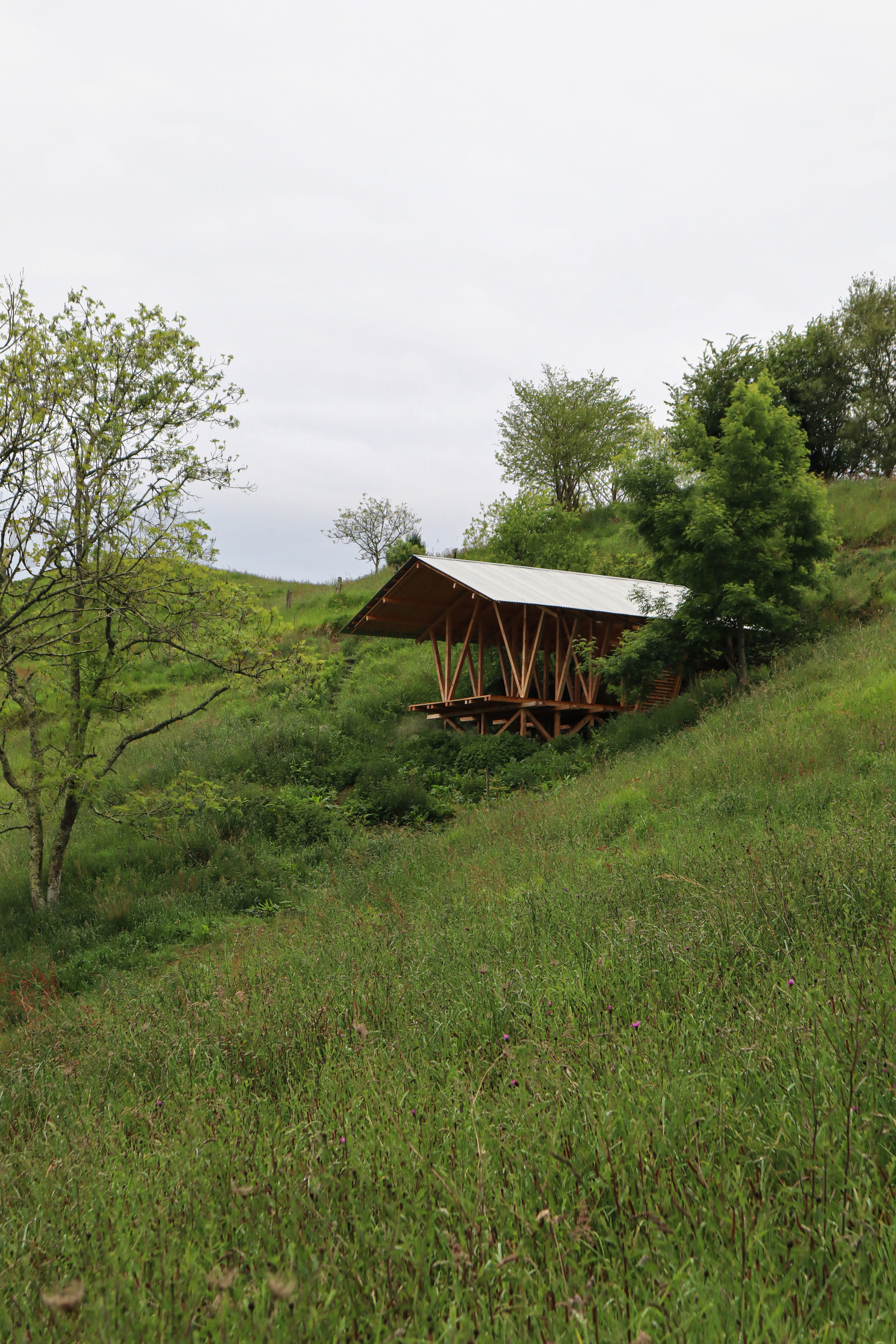 Diagonal view of the timber structure with metal roof nestled into the terraced grassy hillside among scattered trees
