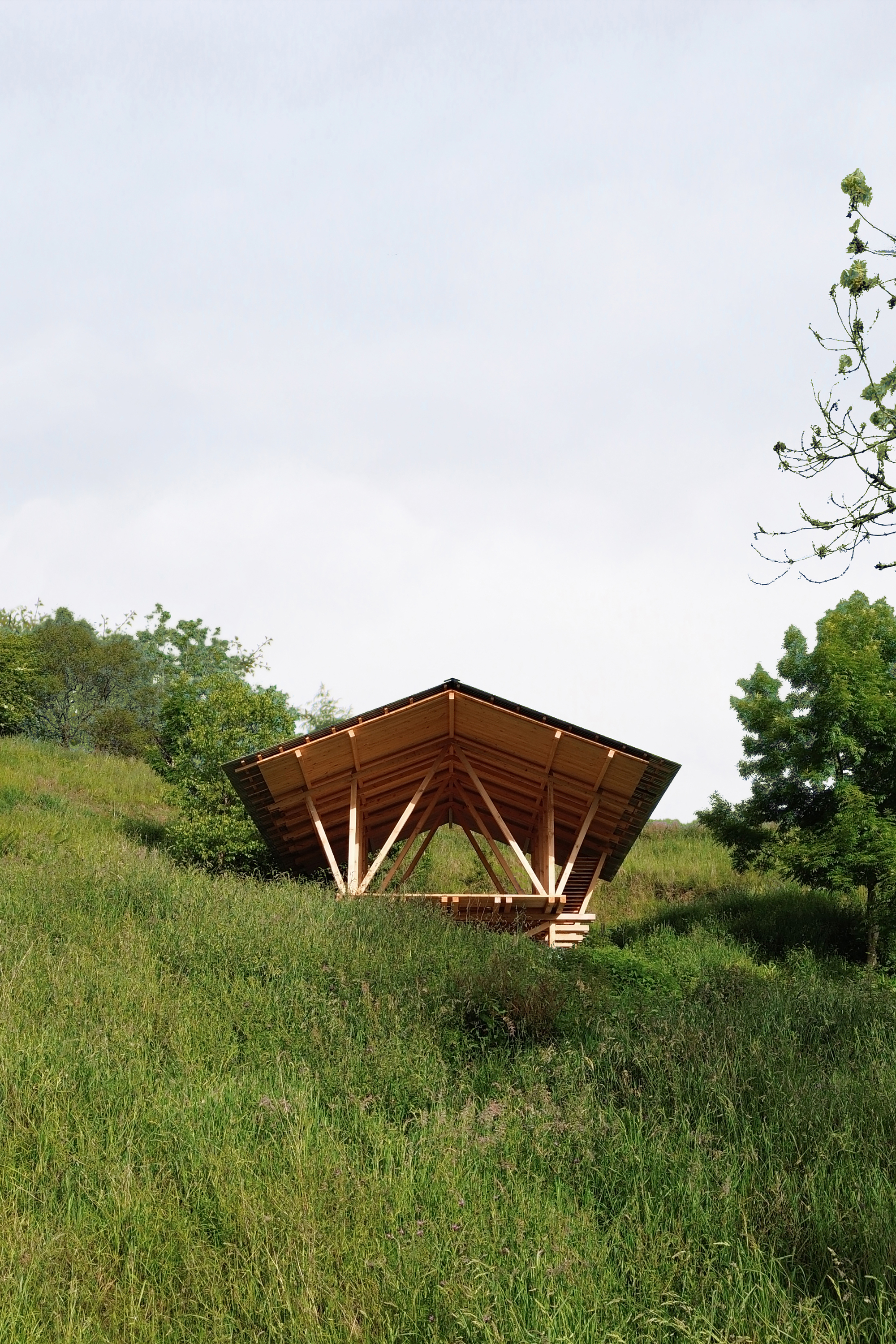 Timber pavilion with exposed triangular roof trusses set into a grassy hillside under overcast skies