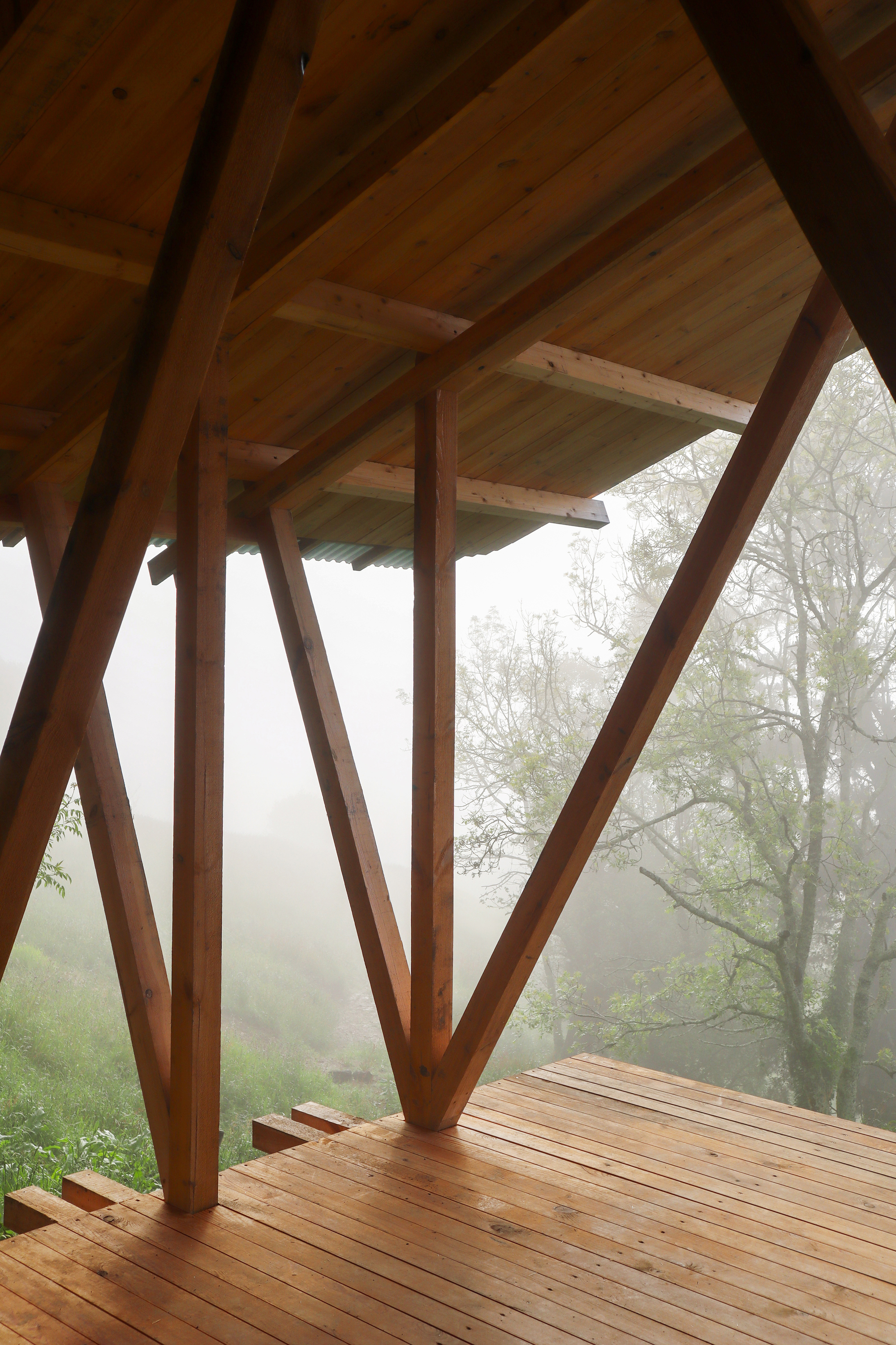 Branching timber columns meeting at deck level beneath ribbed ceiling in dense fog