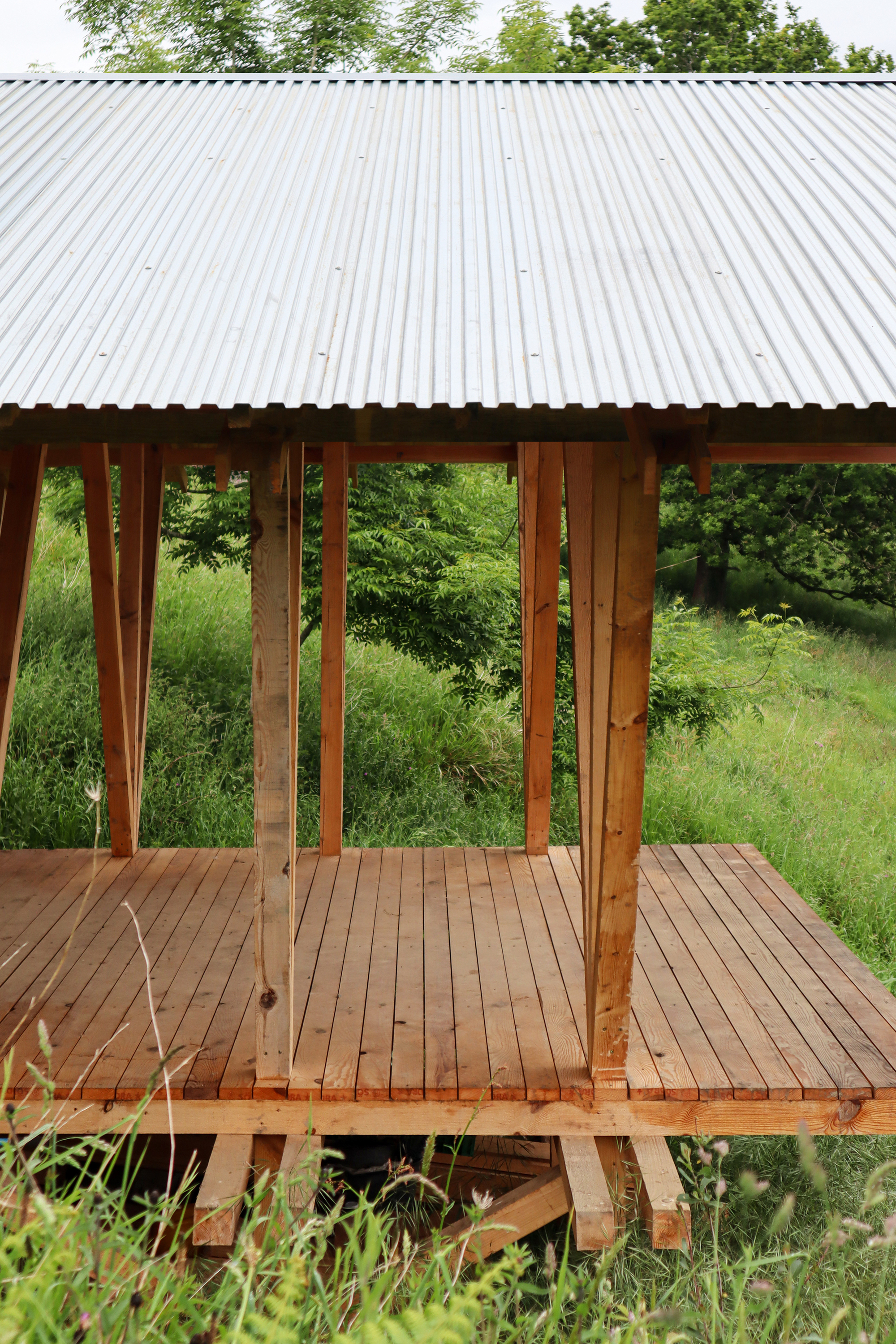 Elevated timber pavilion with corrugated metal roof and branching wood columns over grassy meadow
