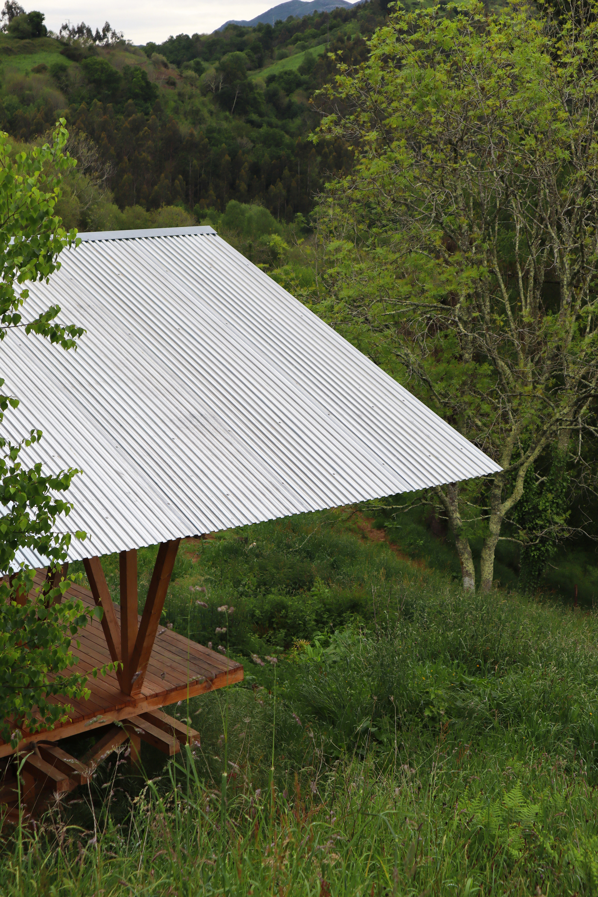 Corrugated metal roof supported by branching timber columns on a hillside with dense vegetation