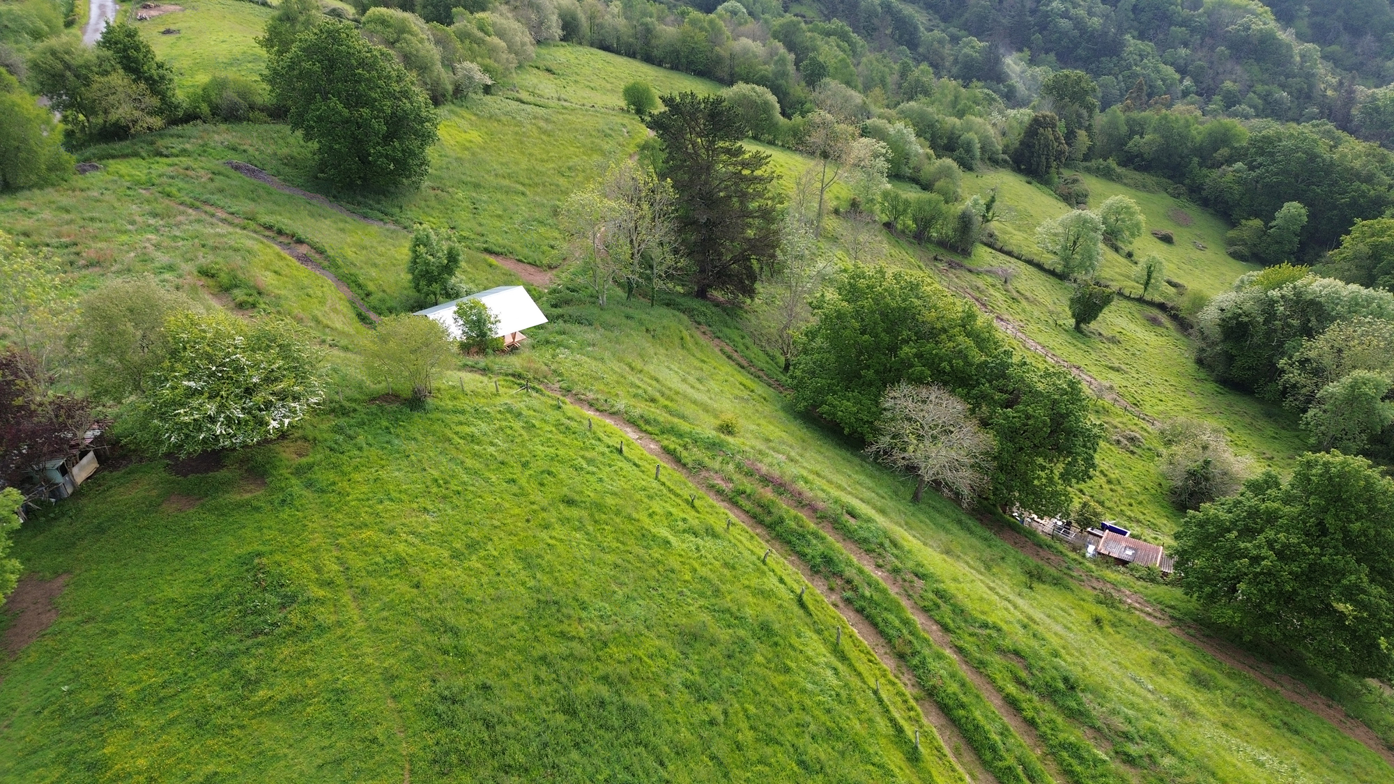 Aerial view of pavilion on terraced farmland with contoured planting rows and scattered trees