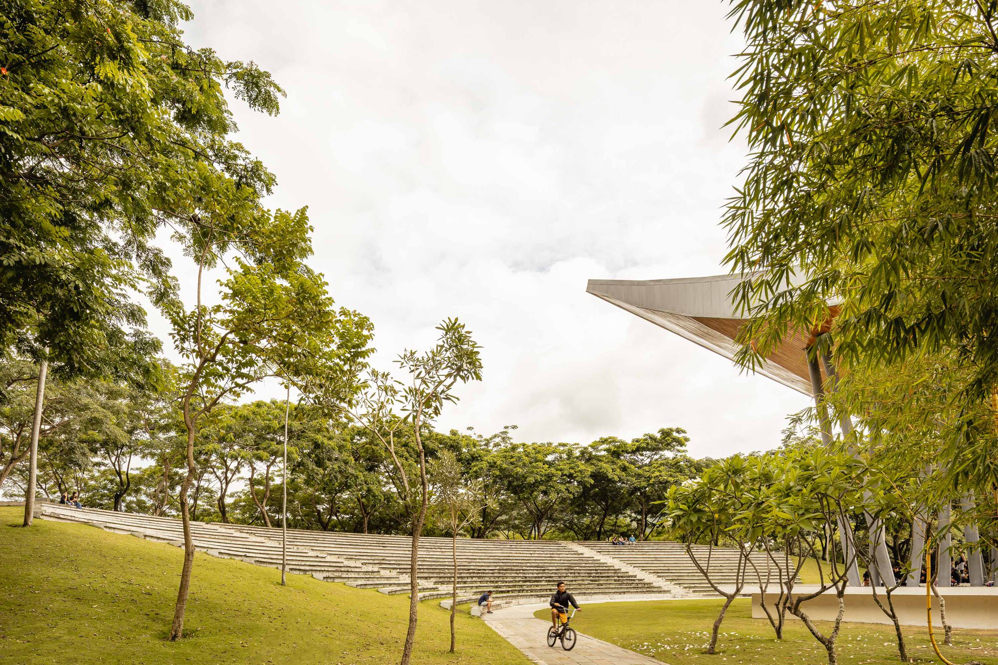 Outdoor amphitheater with concrete terraced seating framed by trees and a cyclist crossing the lawn