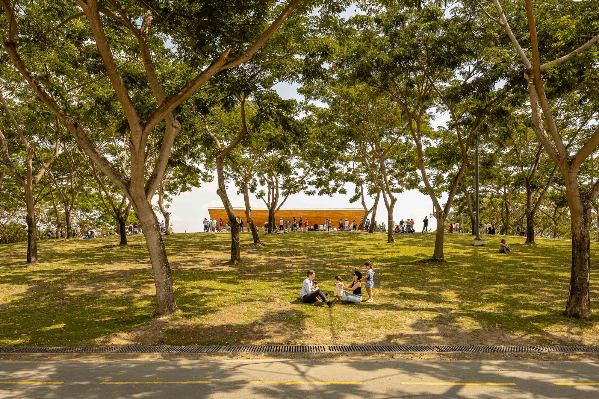Lawn beneath mature tree canopy with families gathering and a low orange building visible beyond