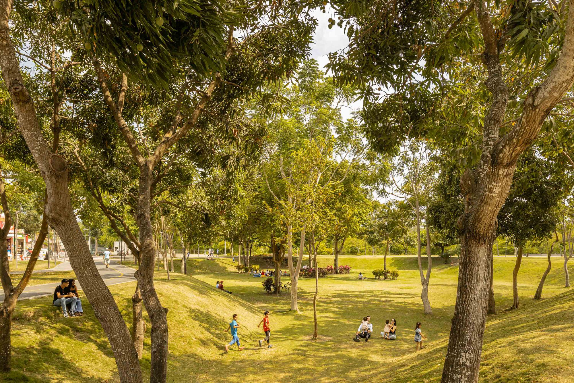 Sloped parkland with children playing among scattered trees in late afternoon sunlight
