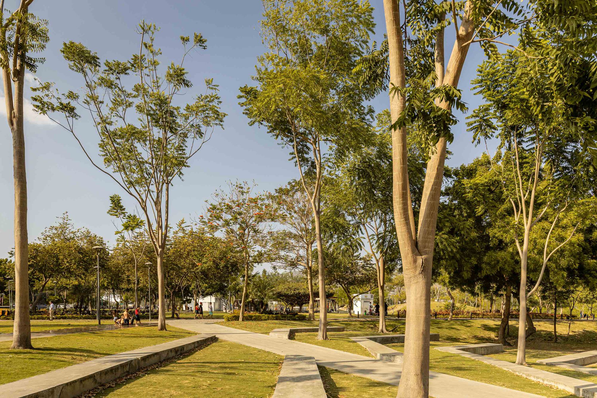 Park pathways winding through sunken lawn panels and newly planted trees in afternoon light