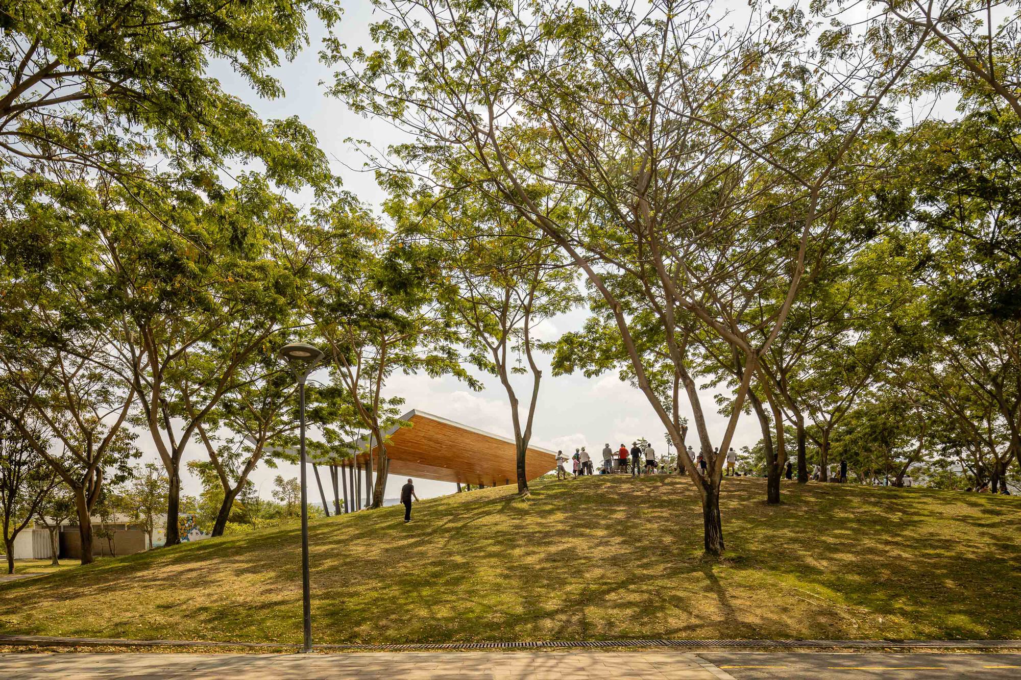 Timber pavilion on a grass mound framed by mature trees with visitors gathering above