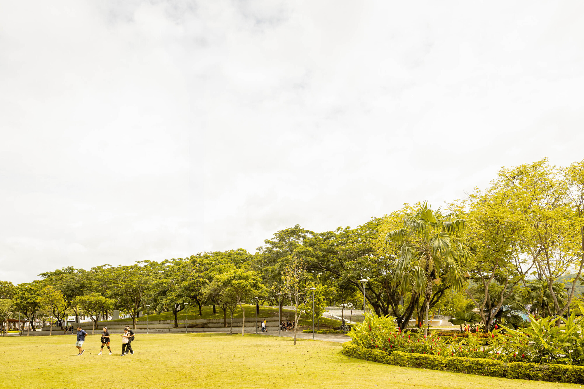 Open lawn with children playing beneath a canopy of mature trees and cloudy sky