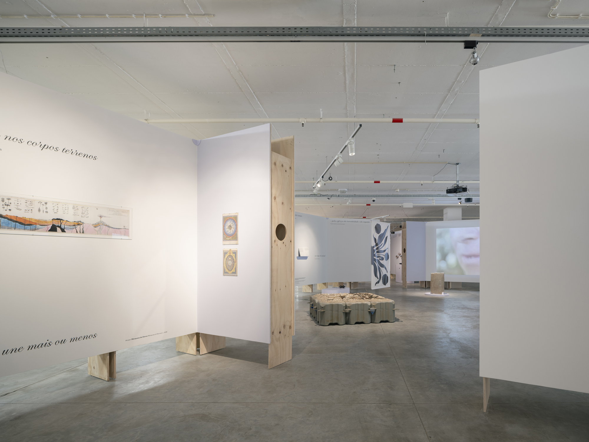 Exhibition space showing white display walls and plywood elements with artworks and projection visible in background
