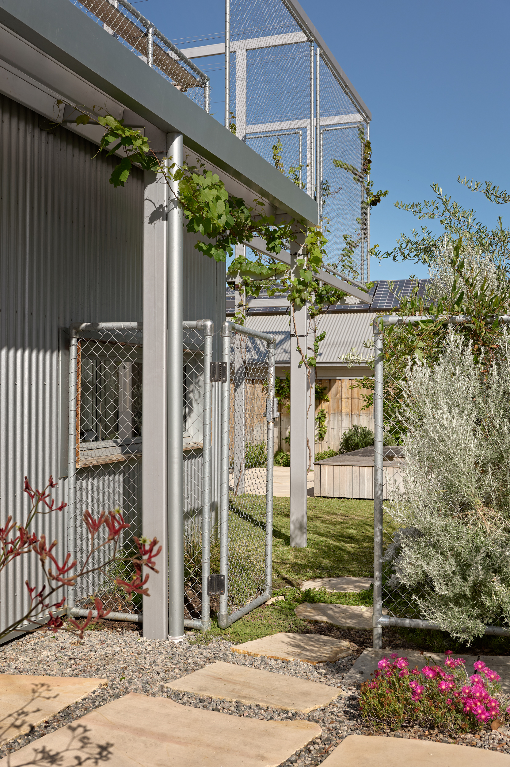 Corrugated metal facade with white steel columns supporting a mesh canopy and climbing vines