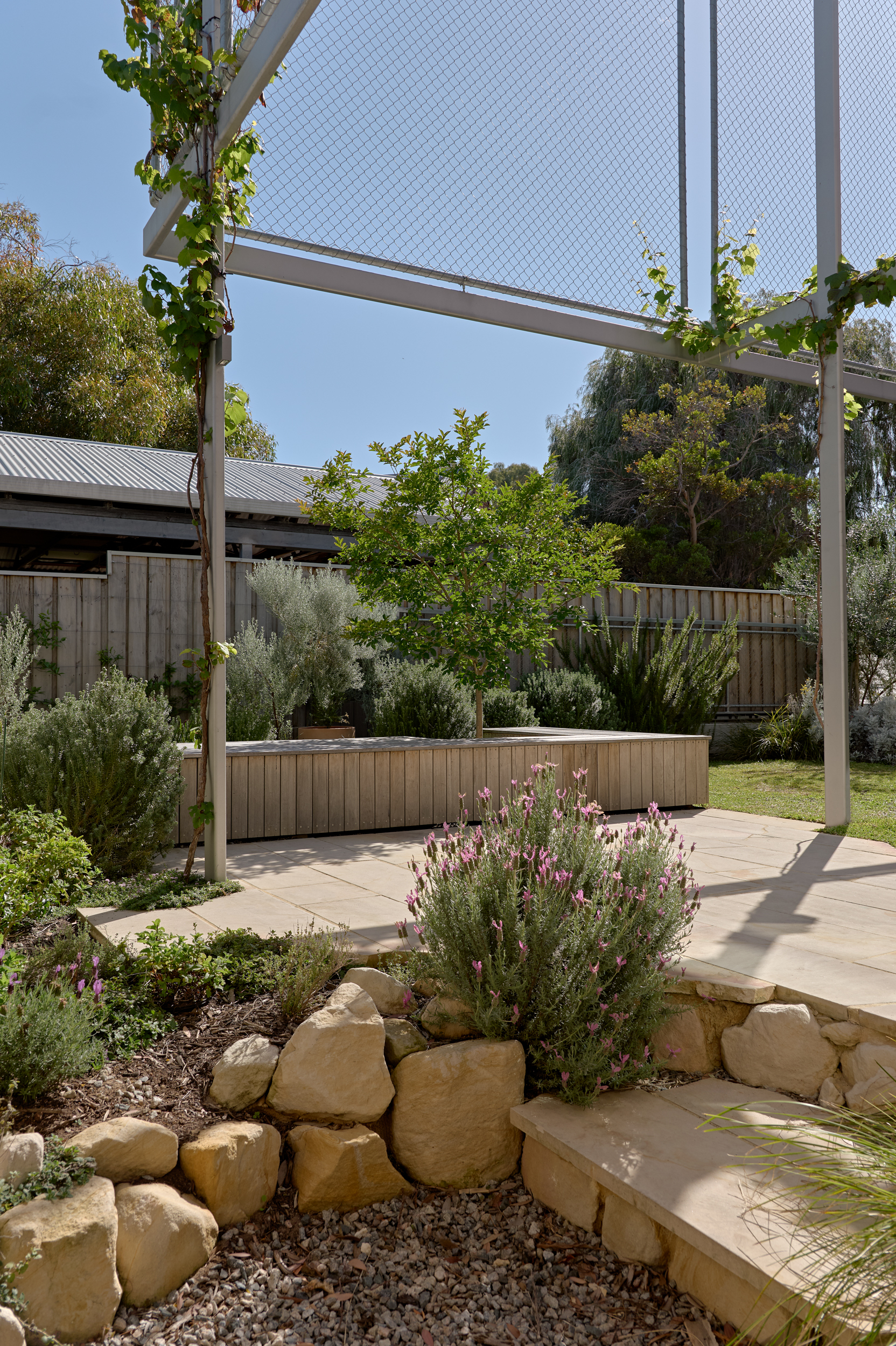 Garden courtyard with white steel pergola, stone planting beds, and scattered flowering plants