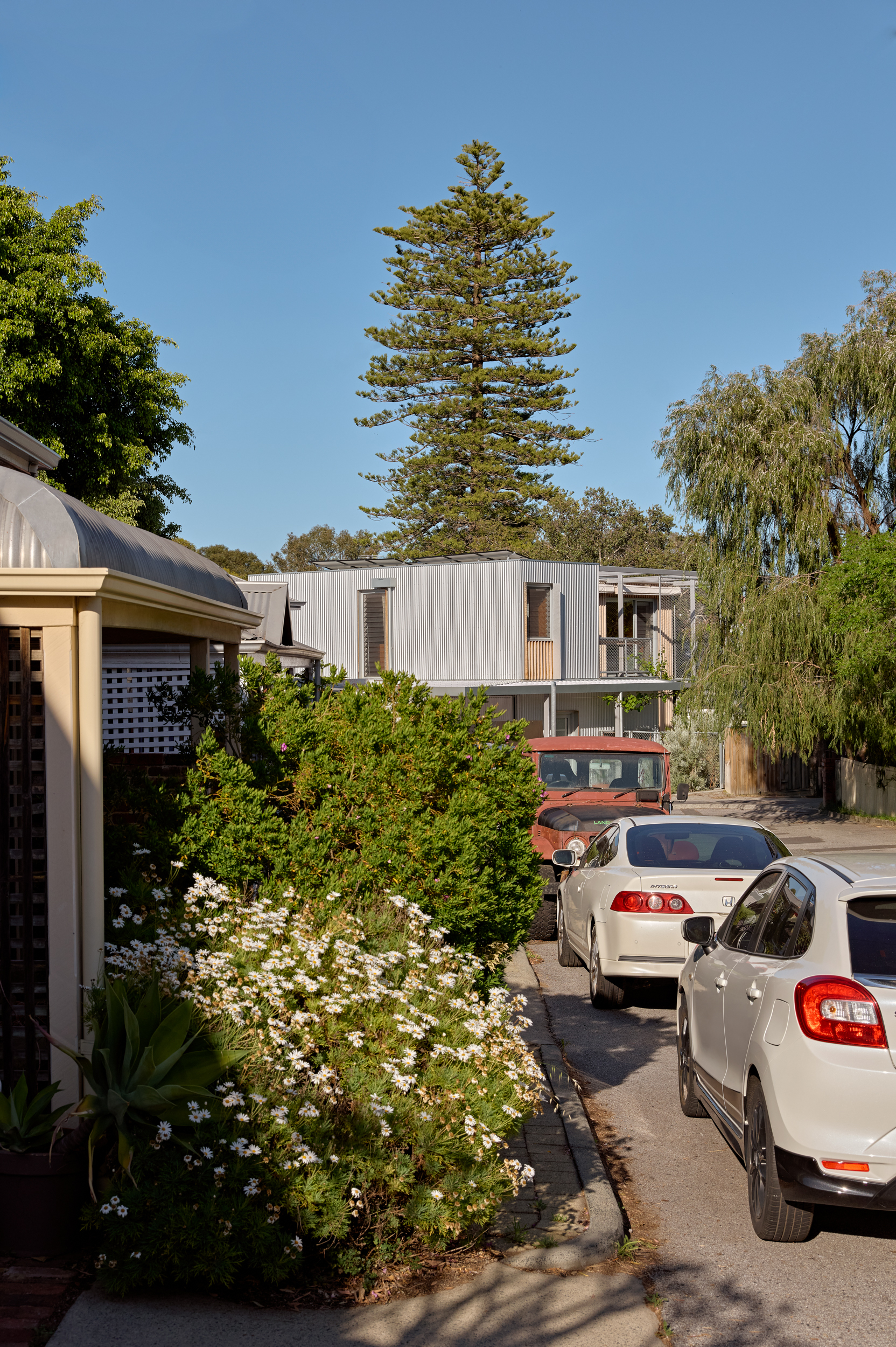 Street view of corrugated metal volume elevated above parked cars and mature trees