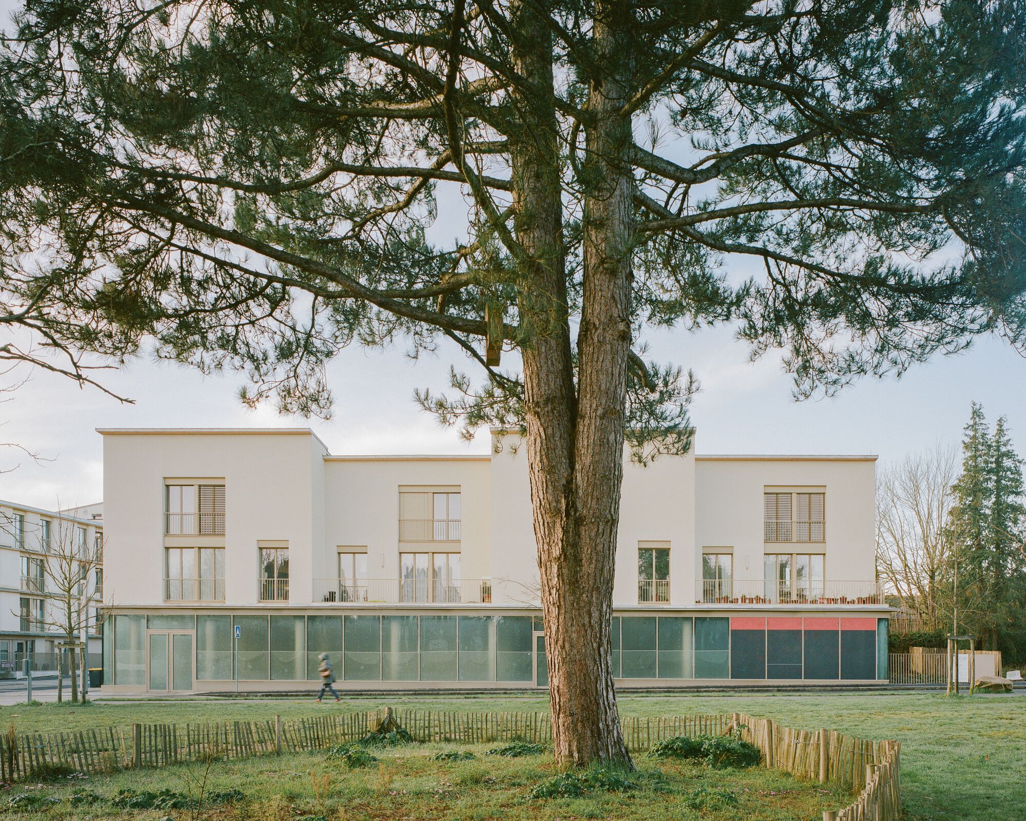 White stucco facade with glazed ground floor beneath the canopy of a mature pine tree