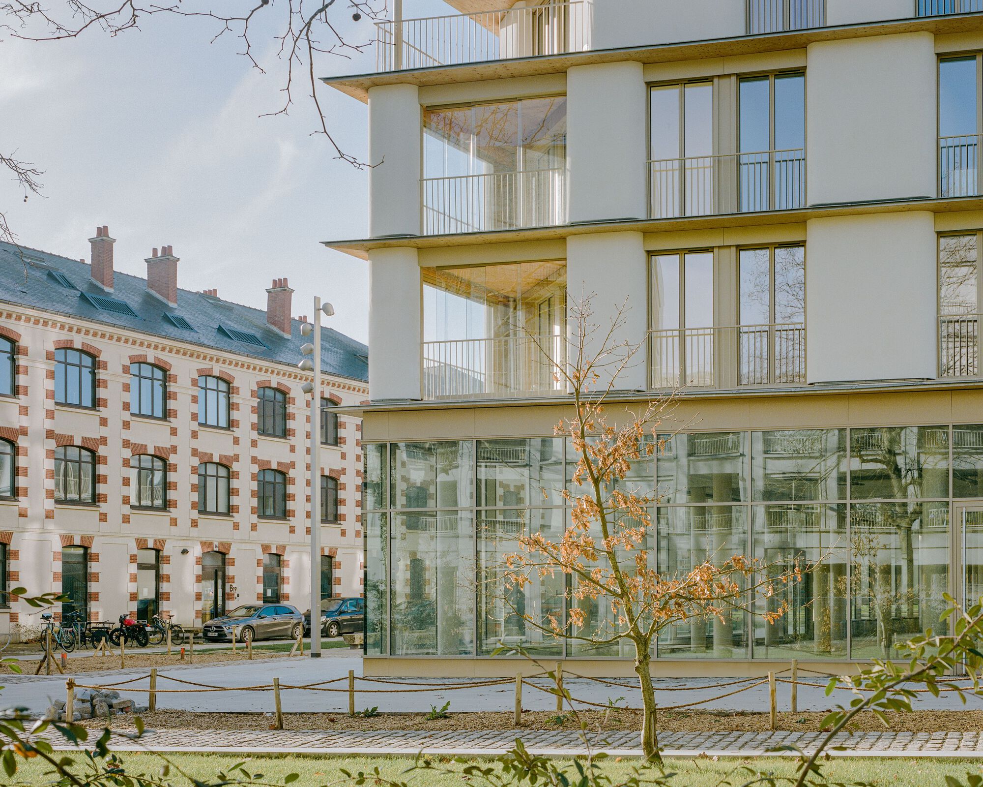 Ground floor glass curtain wall beneath upper residential levels with cylindrical columns and bare tree