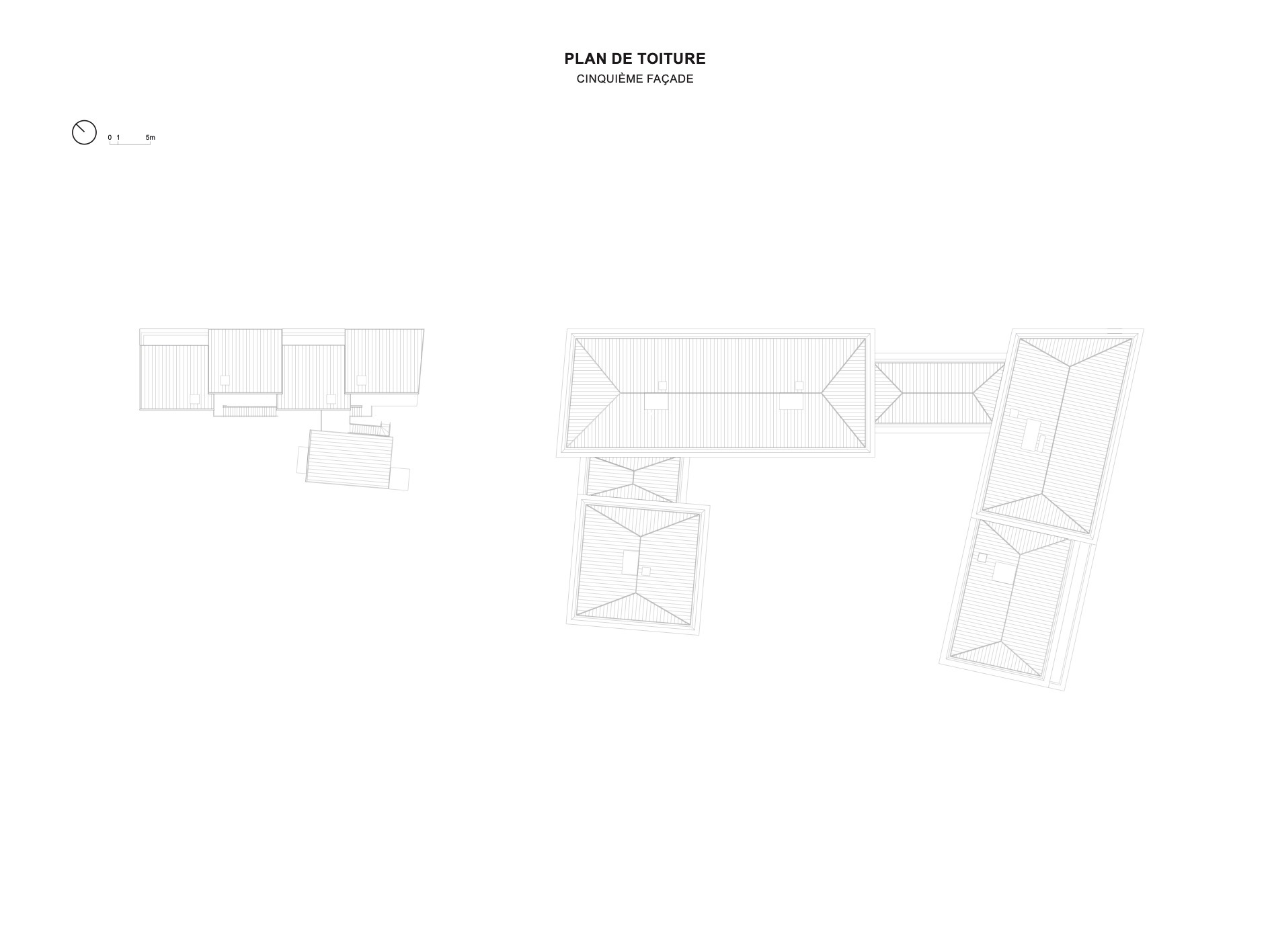 Roof plan drawing illustrating pitched and flat roof geometries across multiple connected residential building volumes
