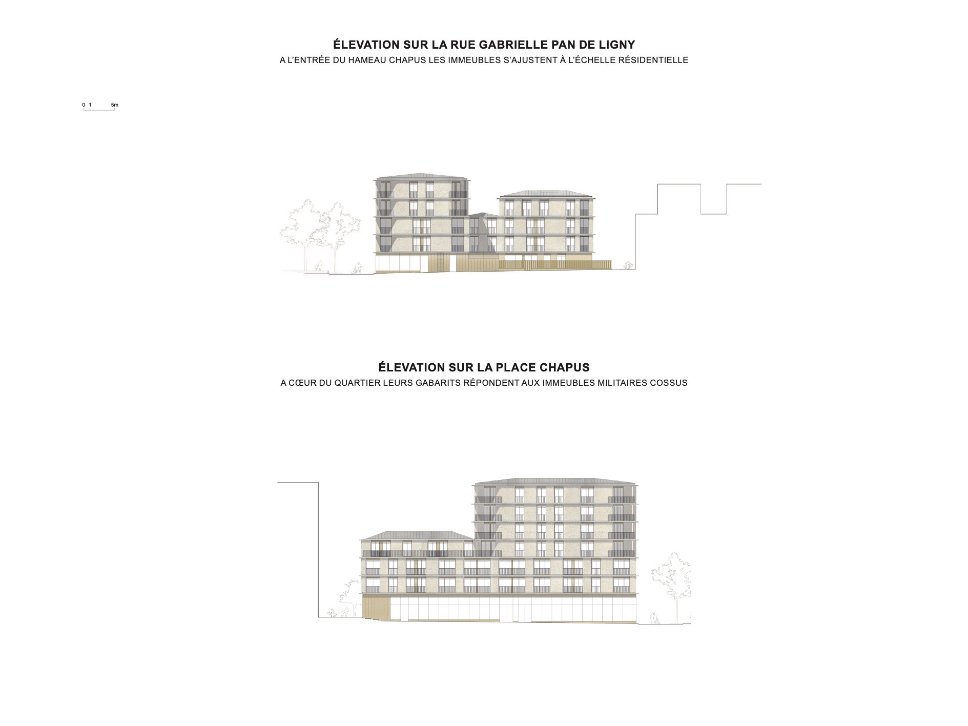 Elevation drawings depicting residential blocks with gridded facades and ground floor timber cladding from two street perspectives