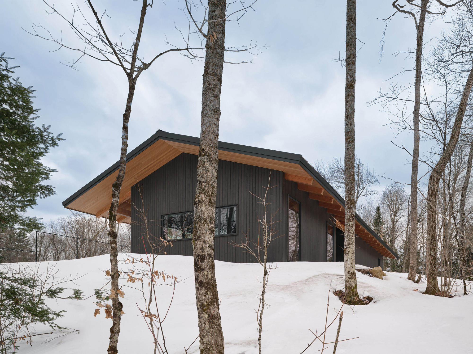 Gabled facade with exposed timber eaves and dark vertical cladding framed by bare winter trees