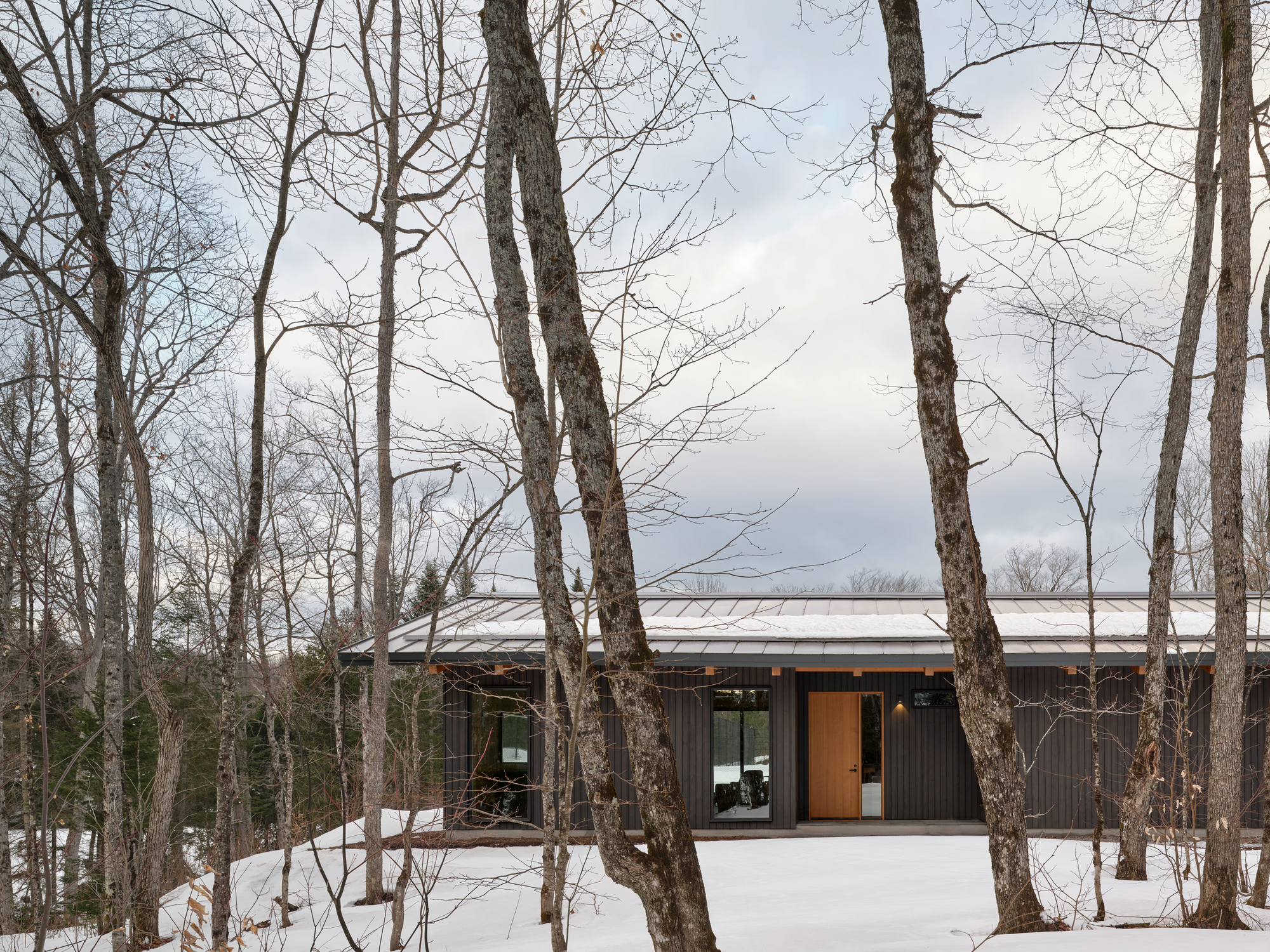 Low-slung metal roof and timber-clad entry viewed through bare winter trees in a snowy landscape