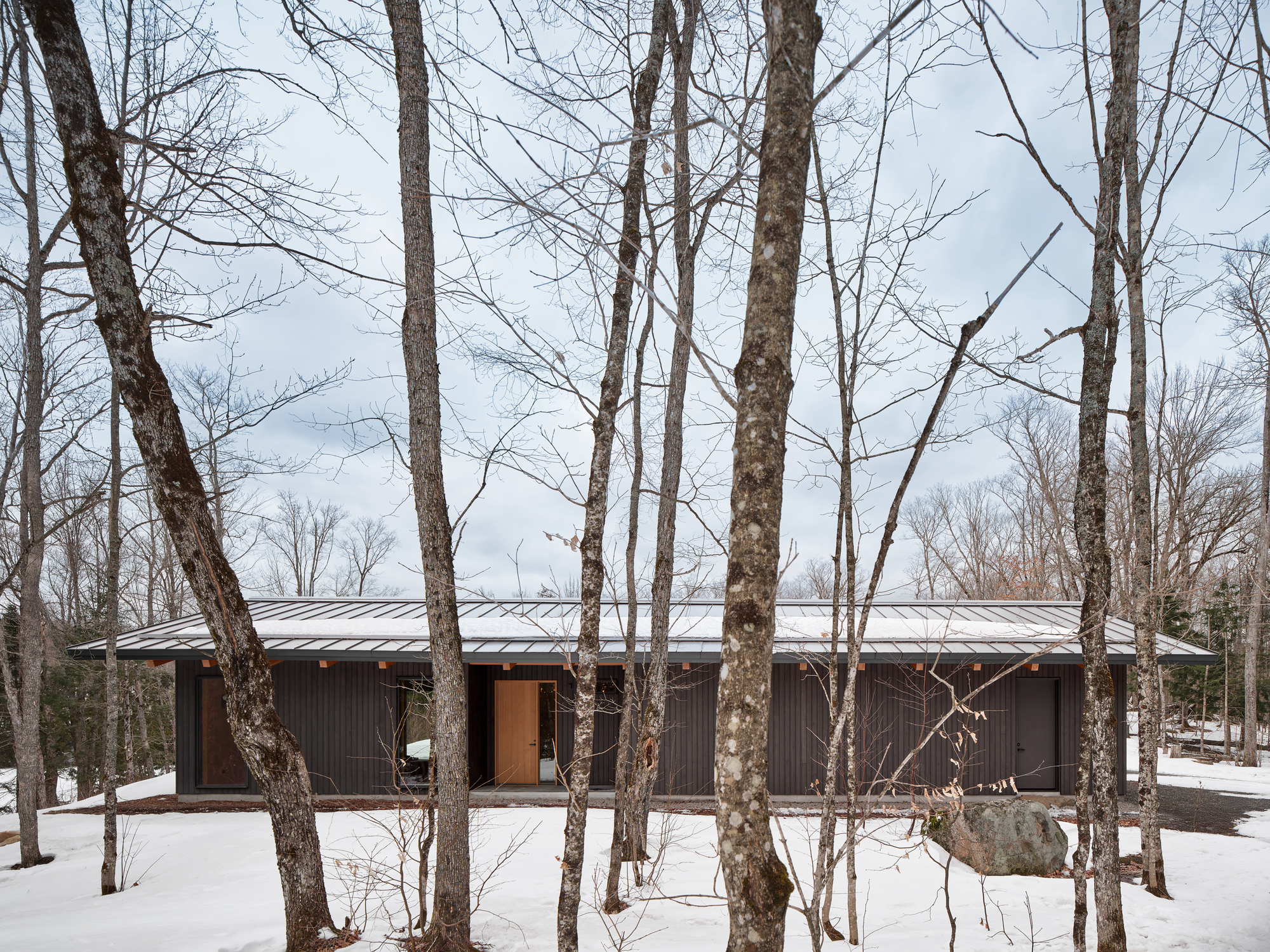 Facade with dark vertical cladding and timber entry door framed by leafless trees in winter