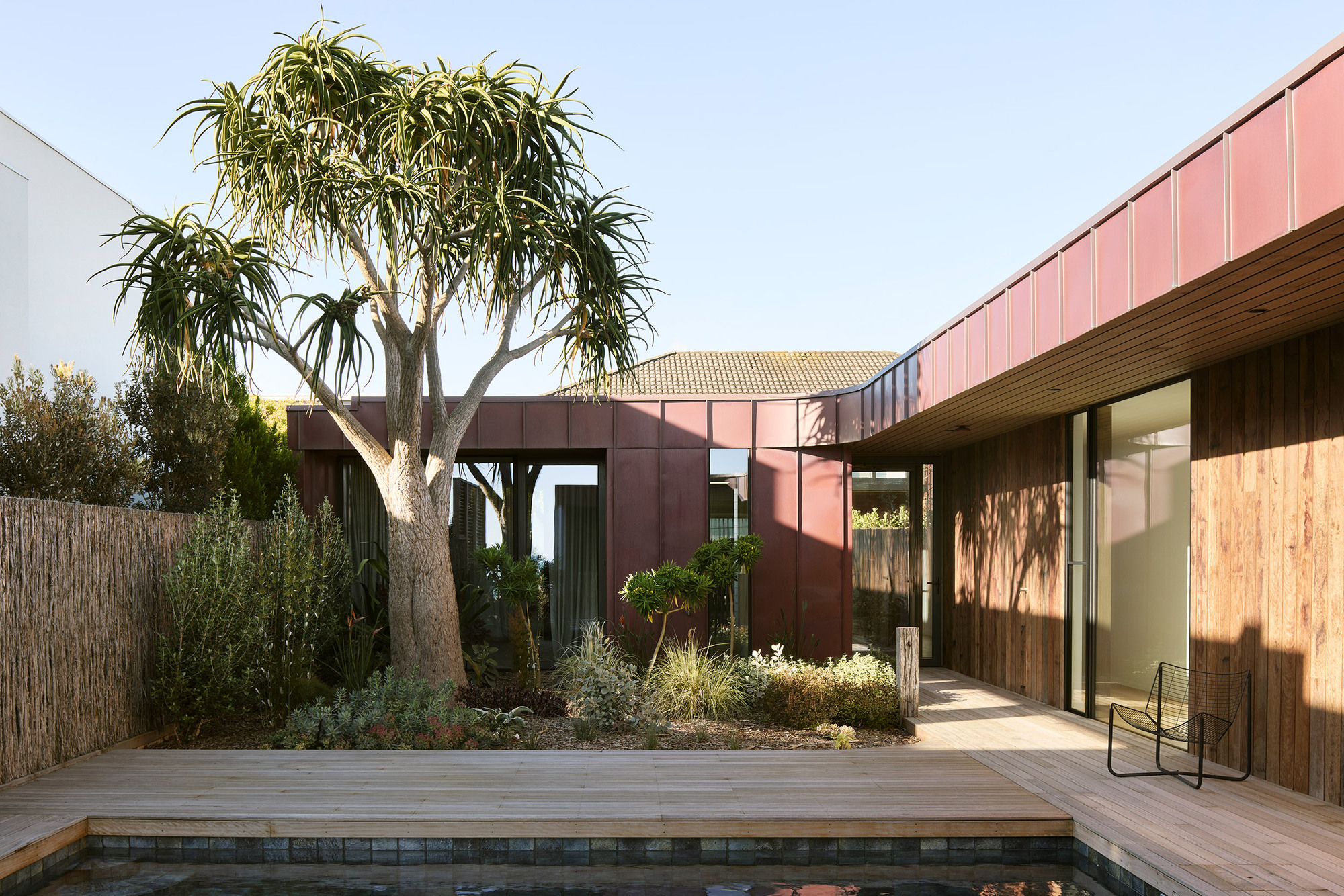 Rear courtyard with timber deck, dark pool, and overhanging tree casting shadows across pink metal cladding