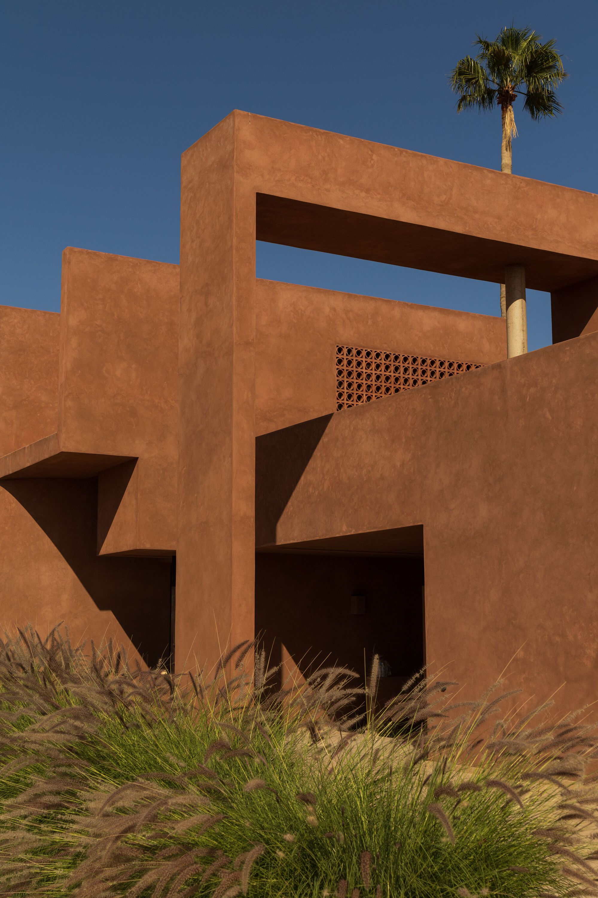 Layered terracotta-colored stucco volumes with perforated screen panel and palm tree rising behind ornamental grasses