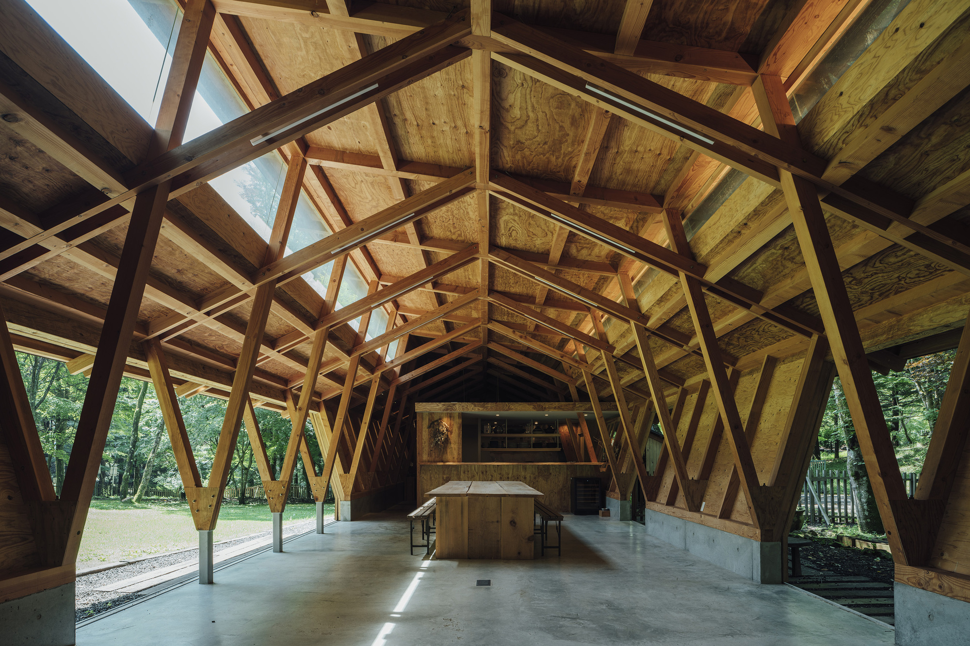 Interior view of the exposed timber frame structure with diagonal bracing and plywood sheathing under skylights