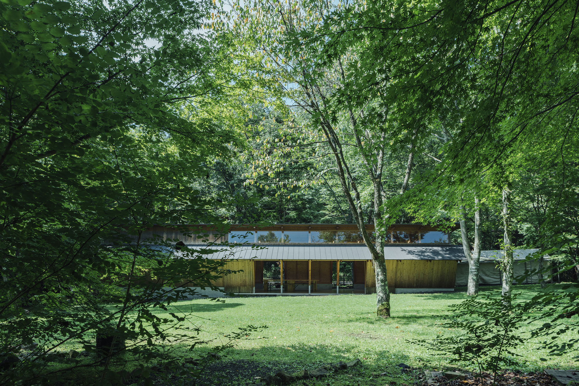 Horizontal facade with clerestory windows and timber cladding set in a clearing among birch and deciduous trees
