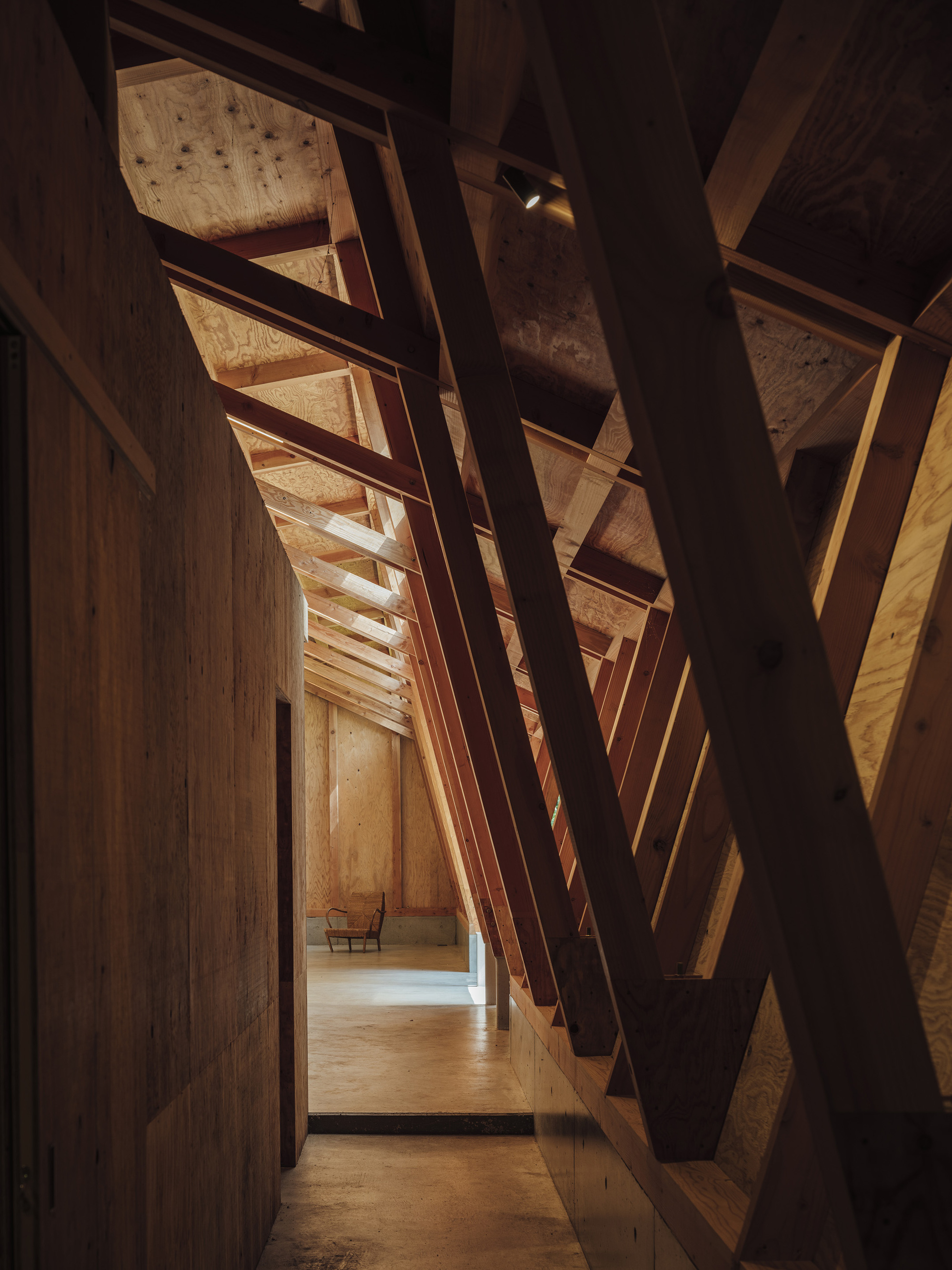 Narrow corridor between plywood-clad walls lit by warm light filtering through the diagonal timber structure