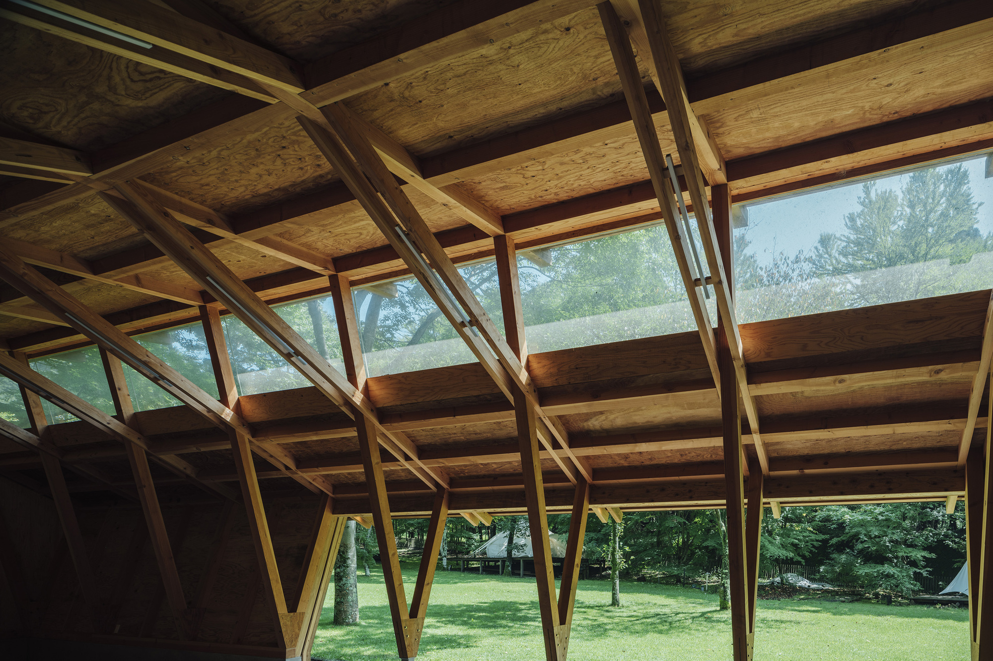 Upward view of the angled timber rafters and clerestory windows bringing daylight through the roof