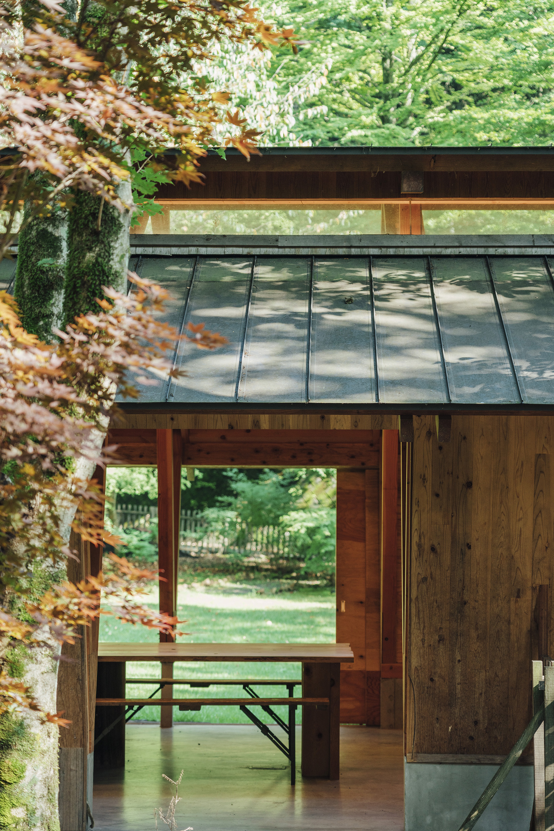 Exterior corner showing the metal standing seam roof overhang and timber columns framing views to the forest