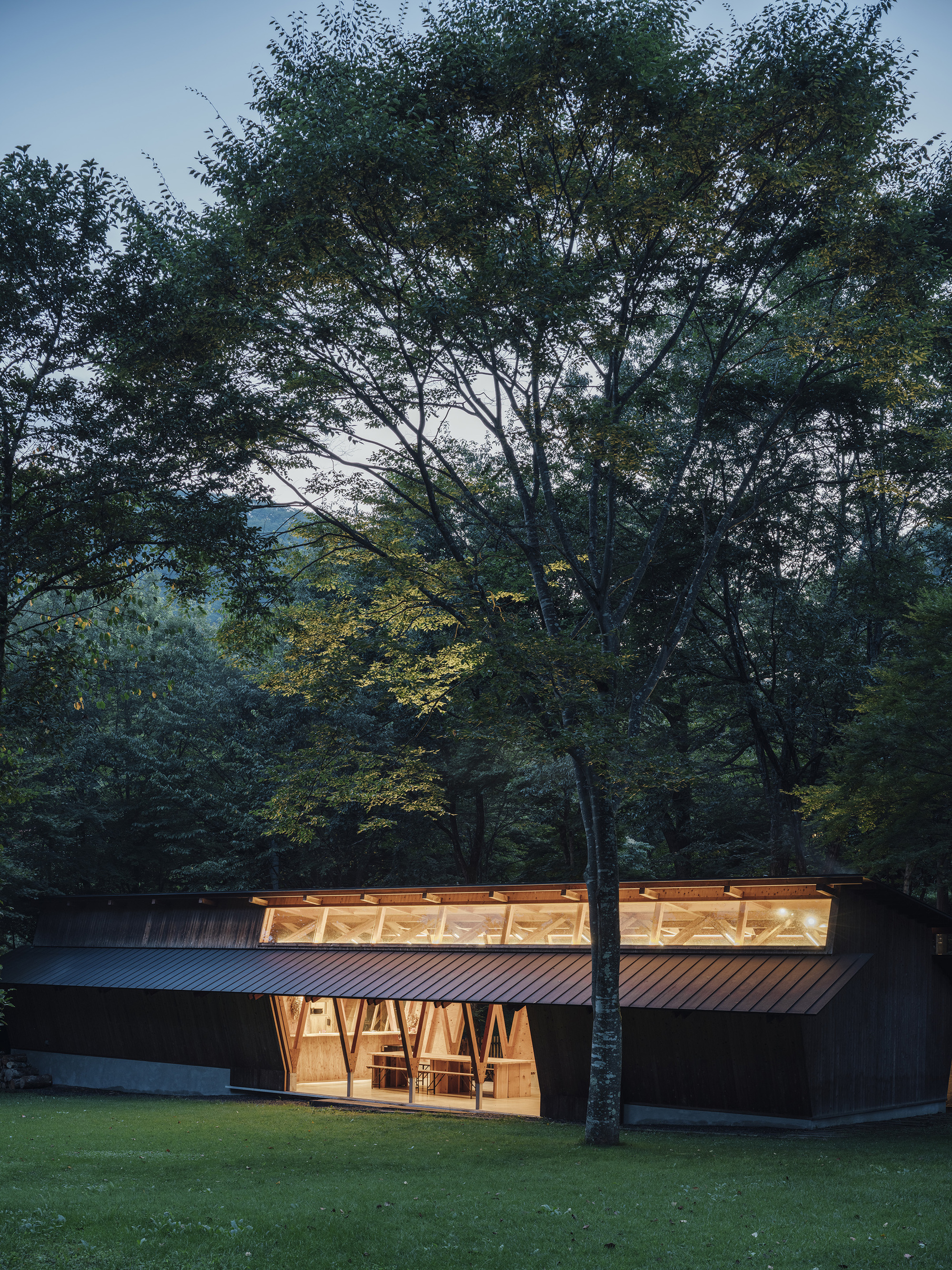 Facade with clerestory windows and diagonal timber columns illuminated at dusk beneath forest canopy